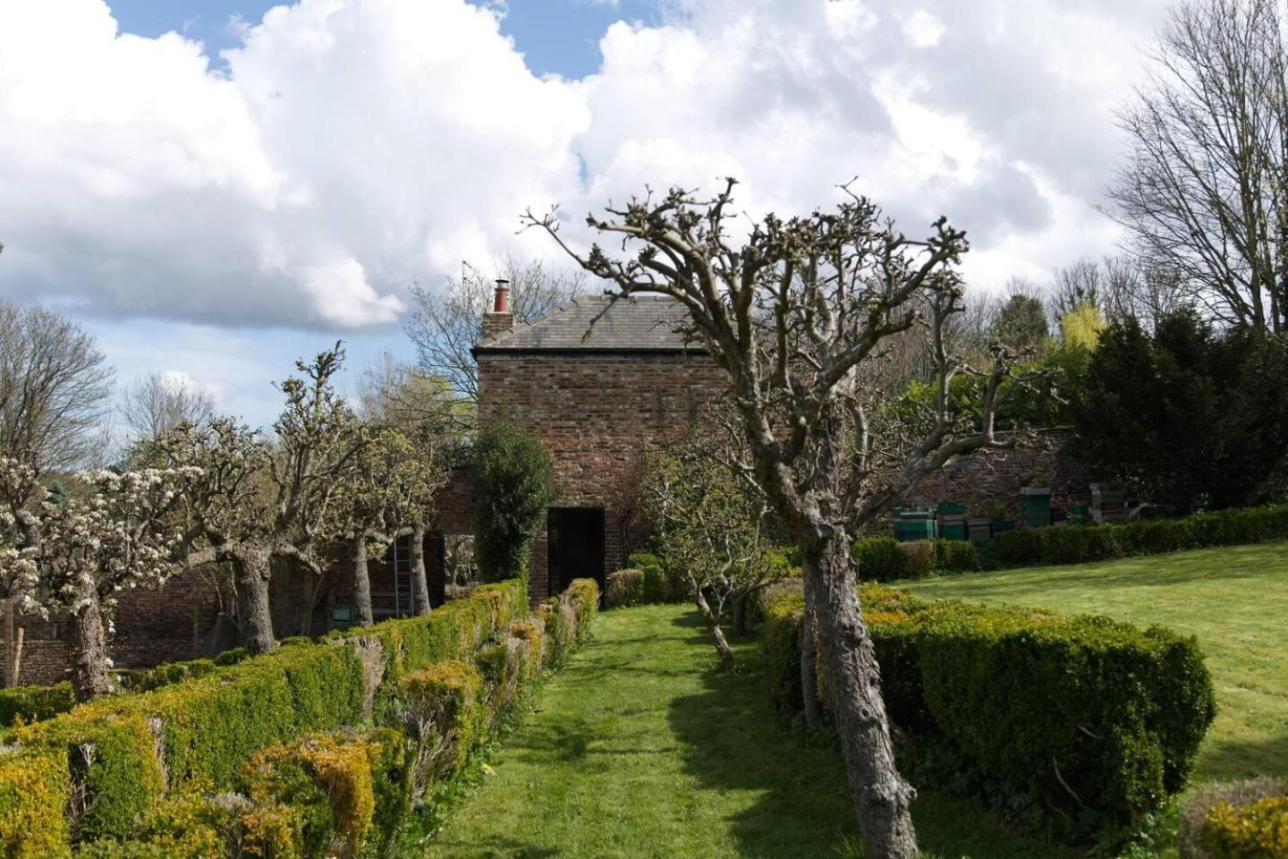 Photo 16