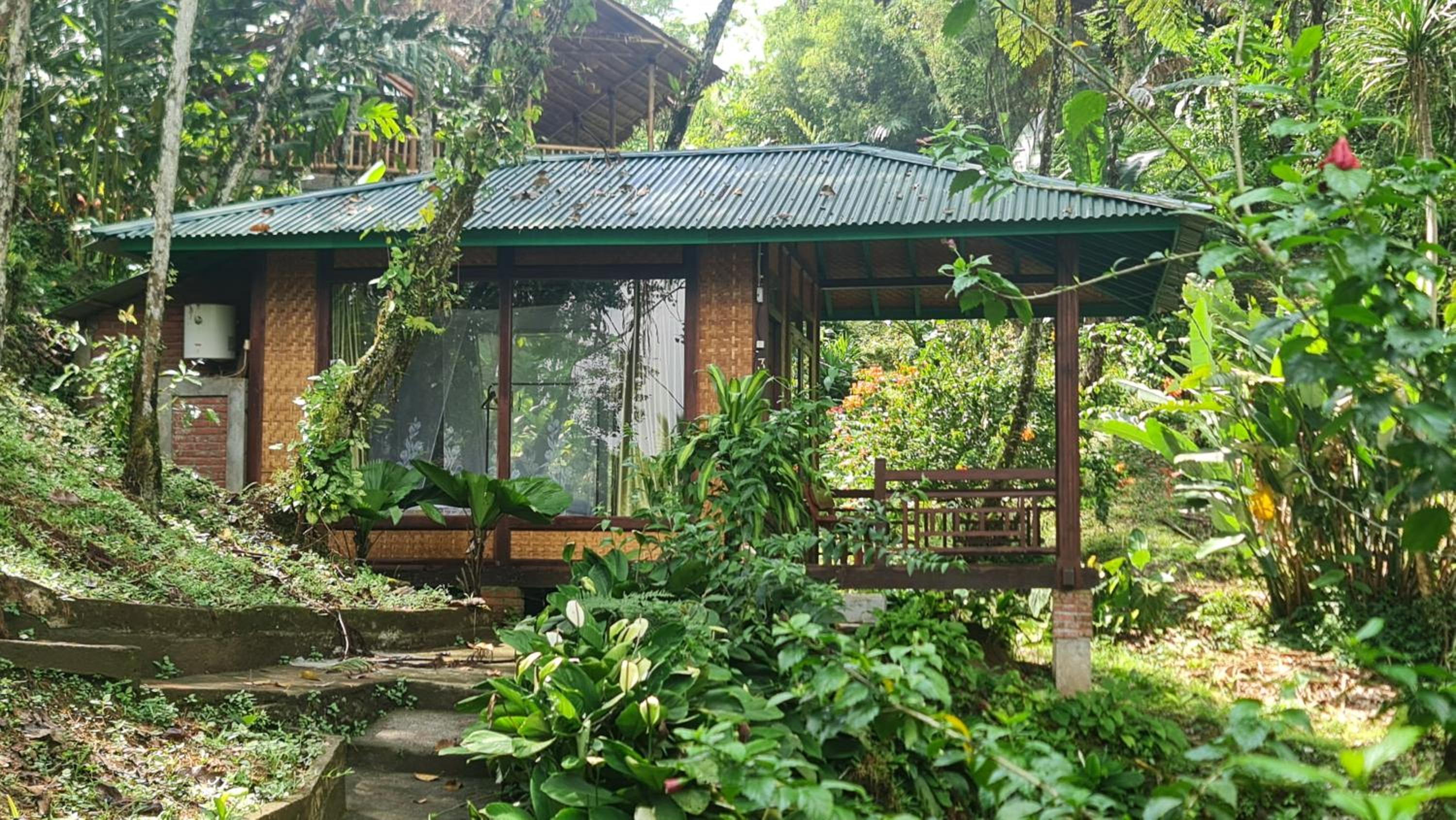 Rimba eco Resort view 3