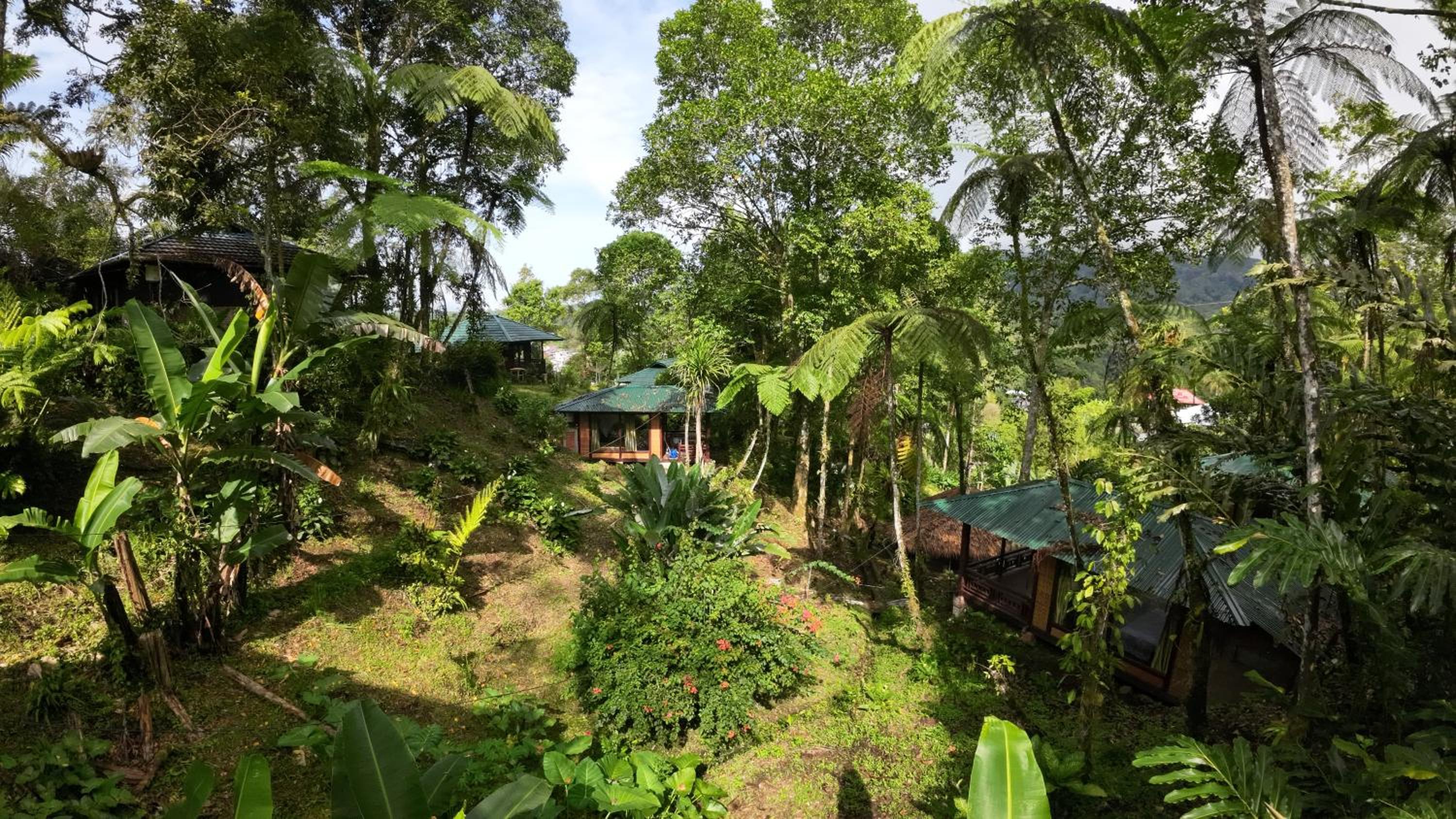 Rimba eco Resort view 4