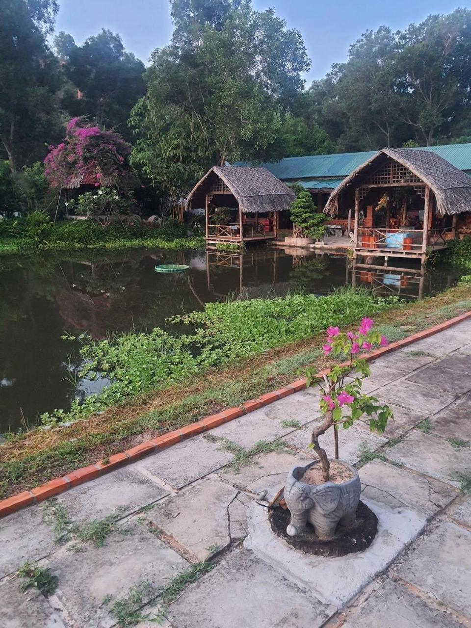 Vita Garden Homestay
