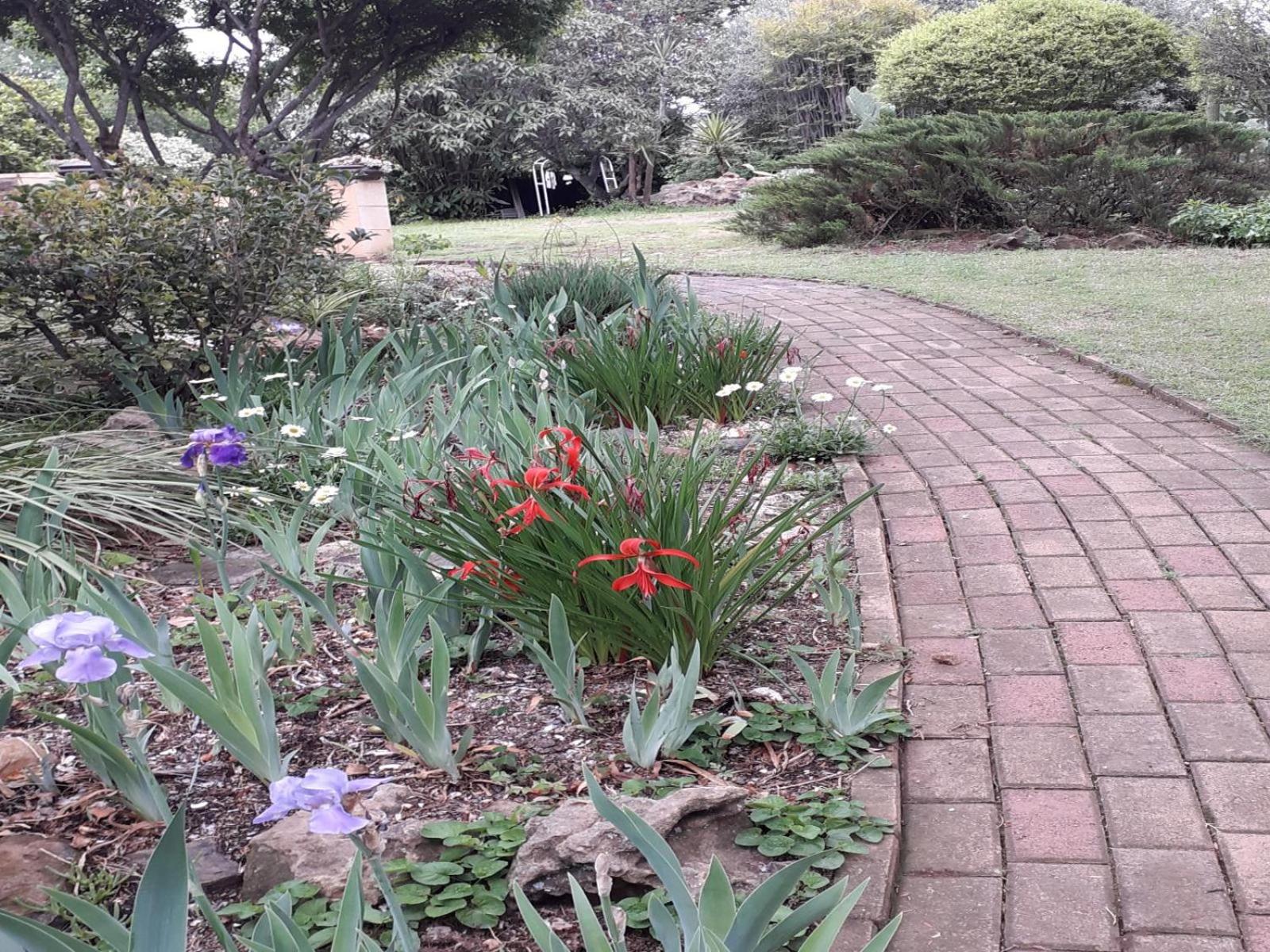 Photo 13