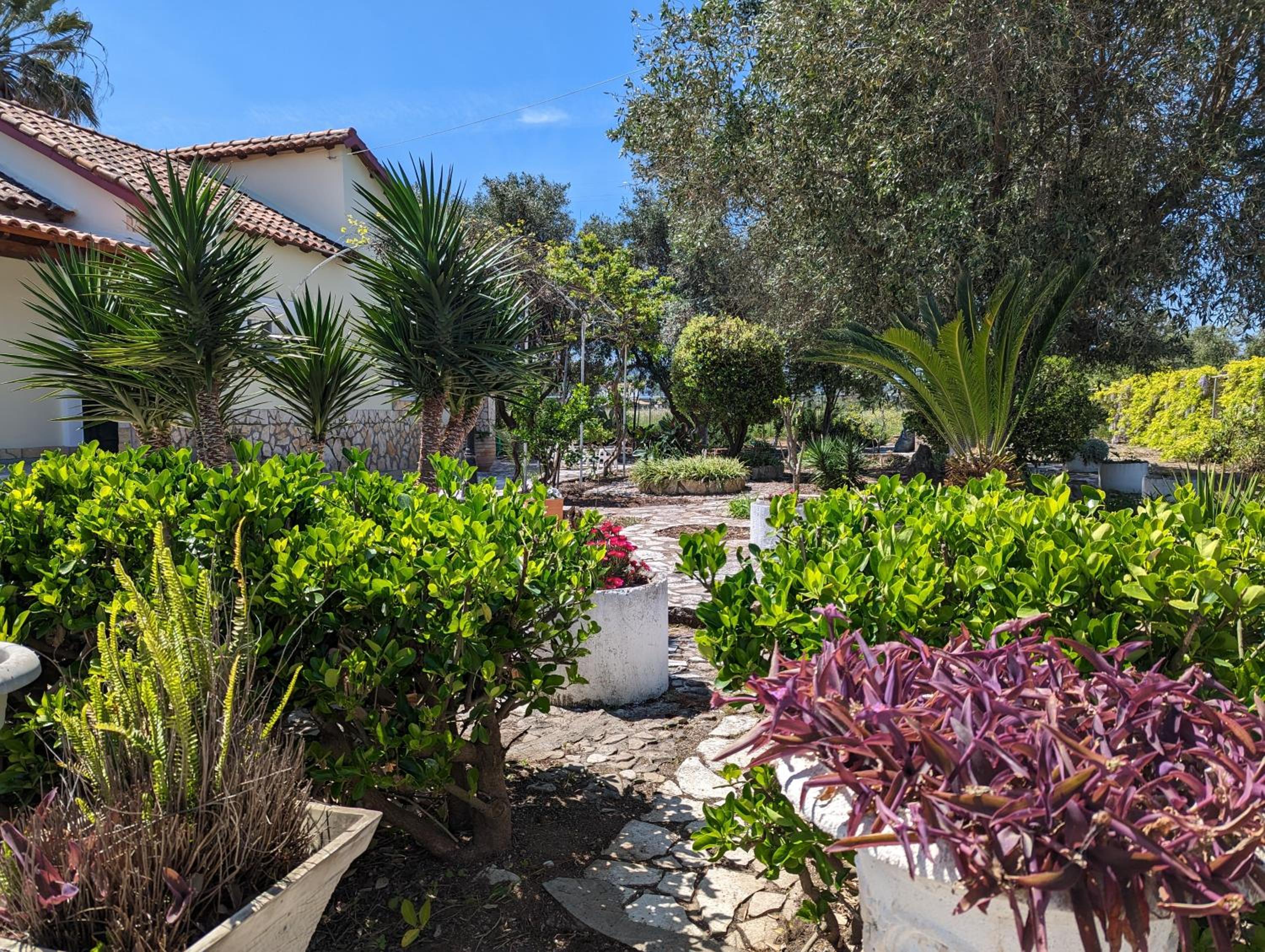 Almyros Garden House