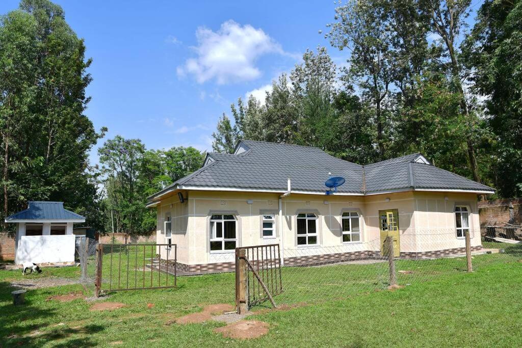 Greenstar suites