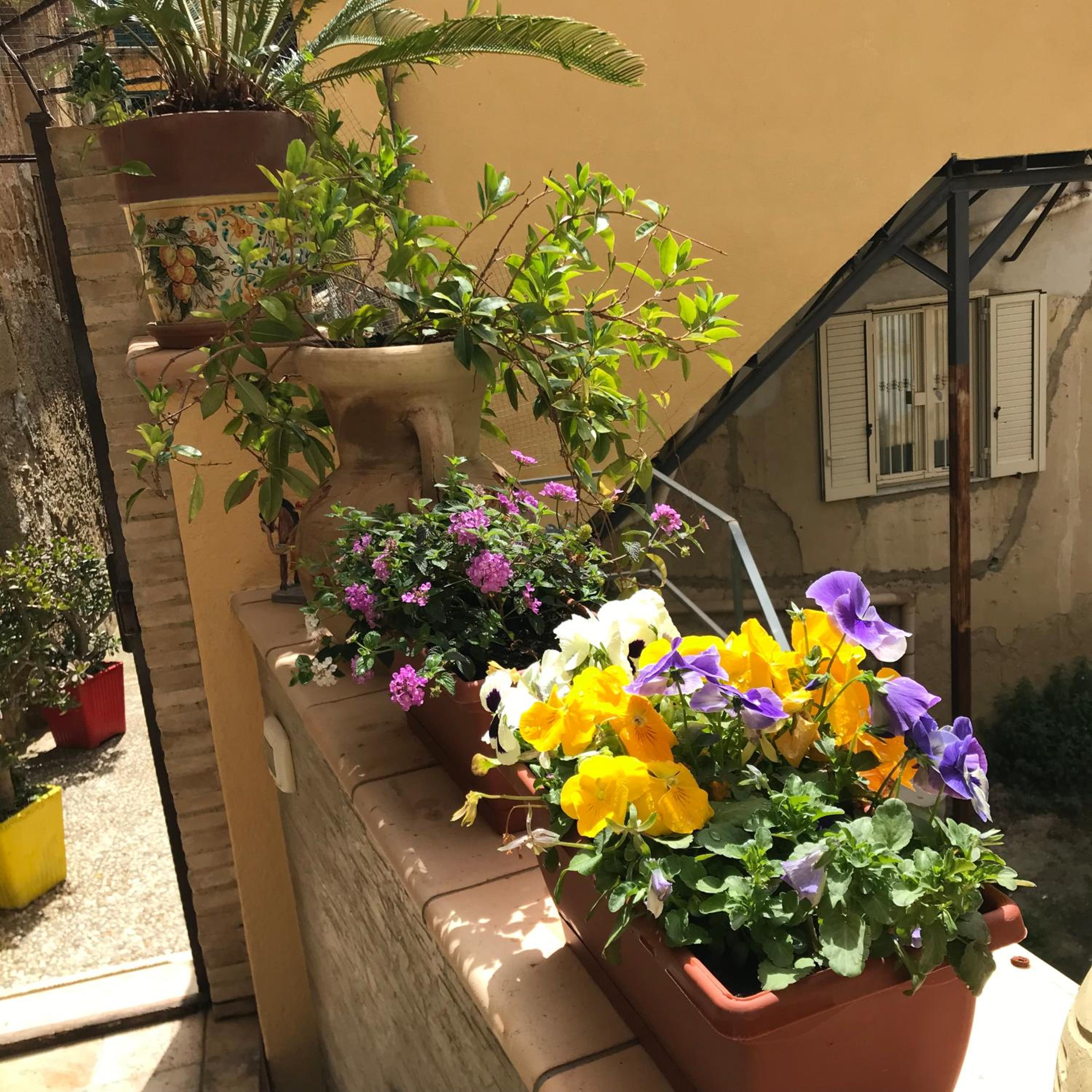 Photo 43