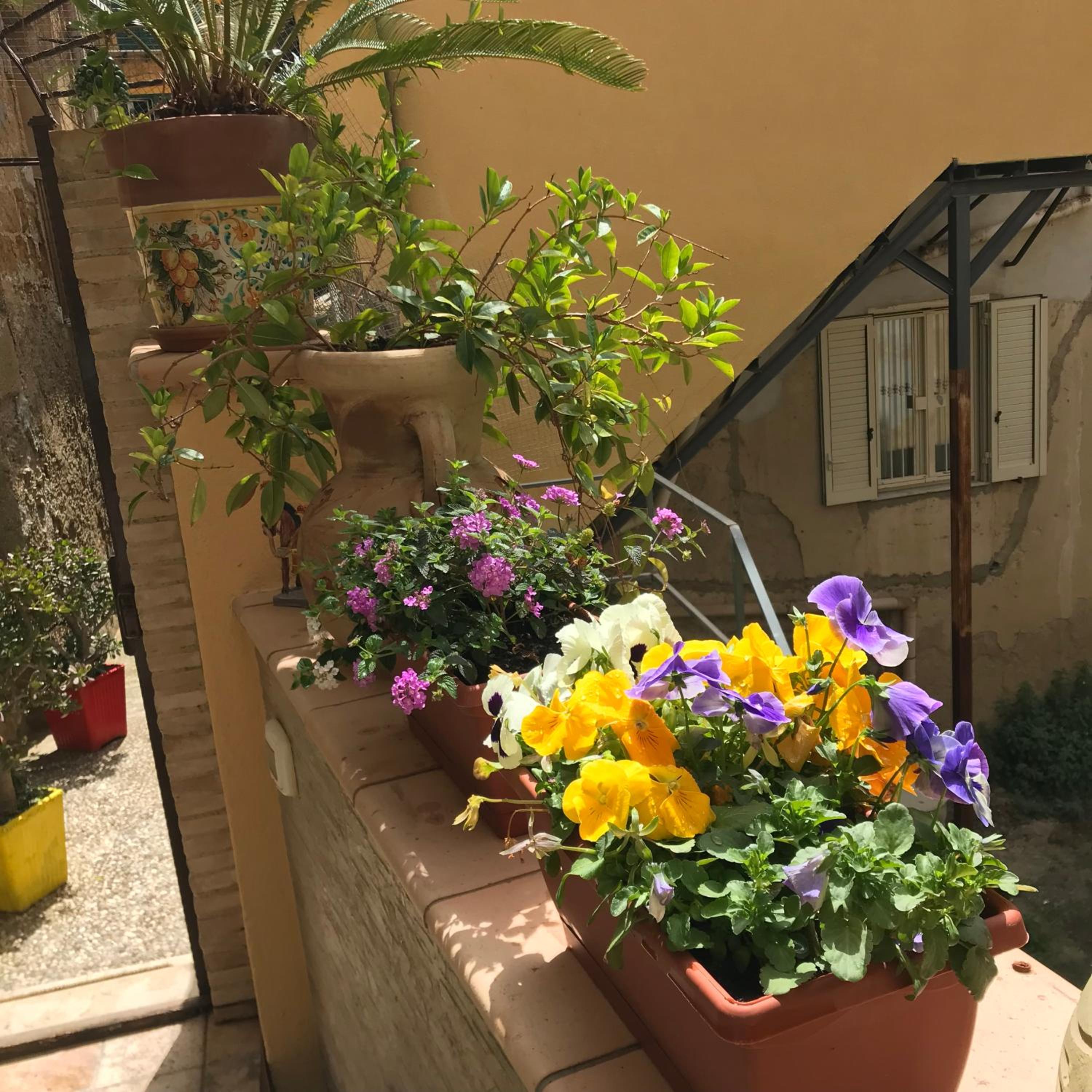 Photo 48