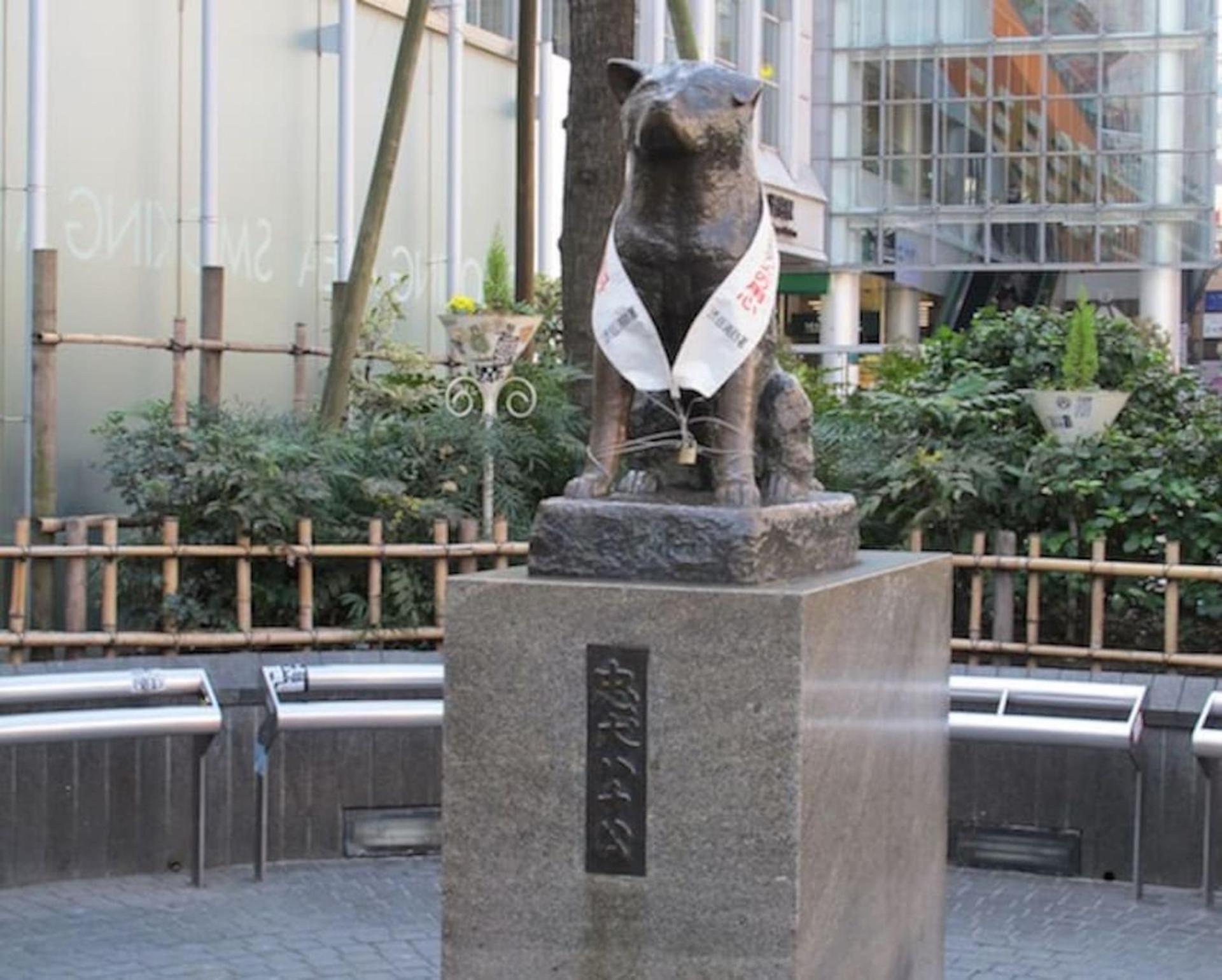 10 minutes direct to Shibuya Crossing! Heart of Tokyo! Mishuku