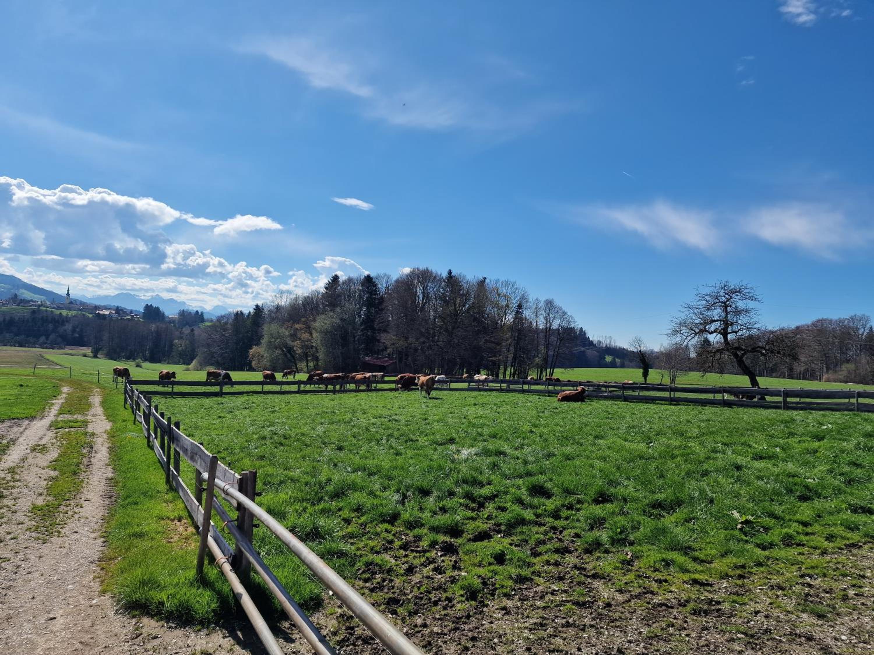 Seeberghof