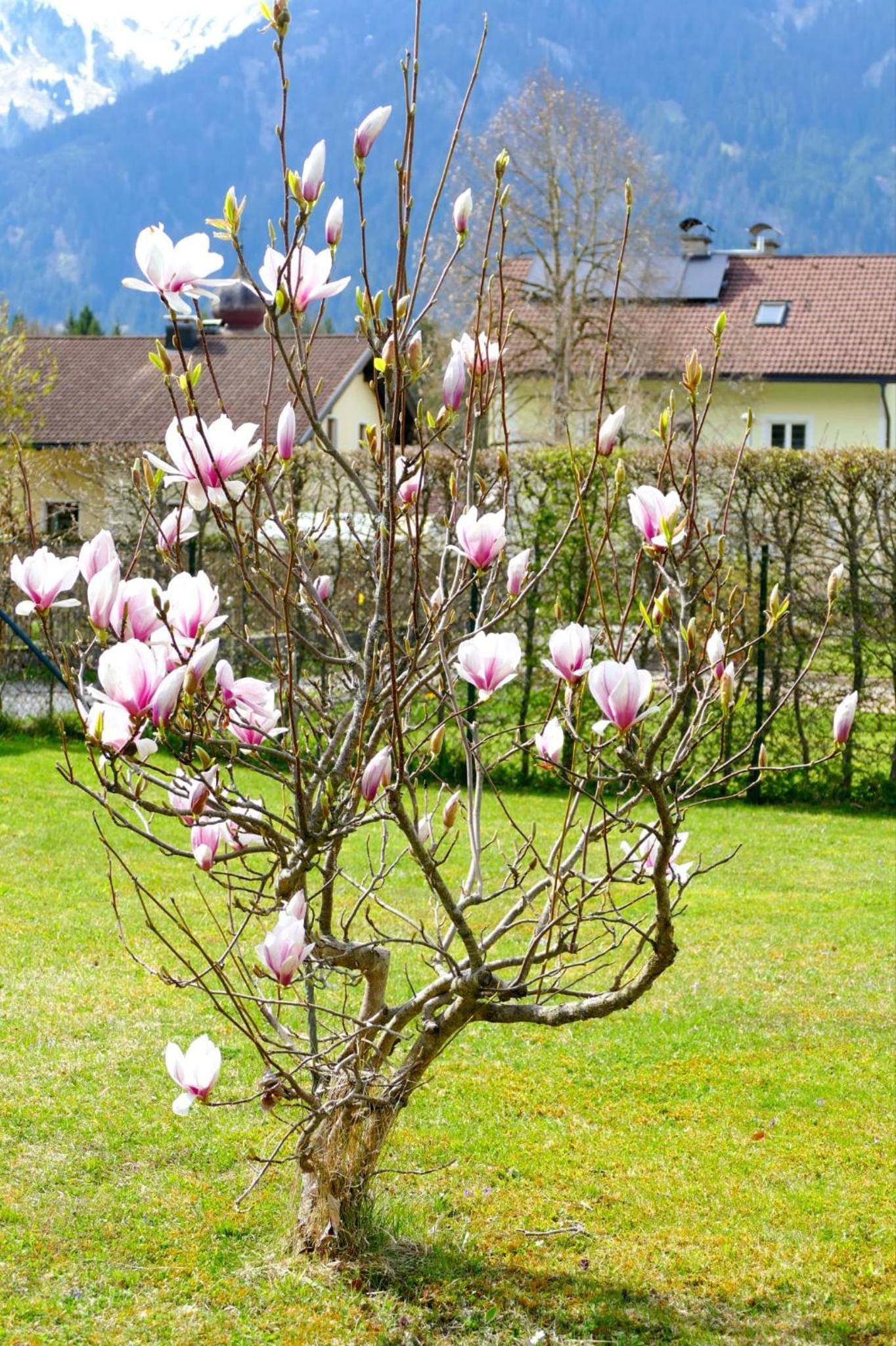 Villa Sorgenfrei