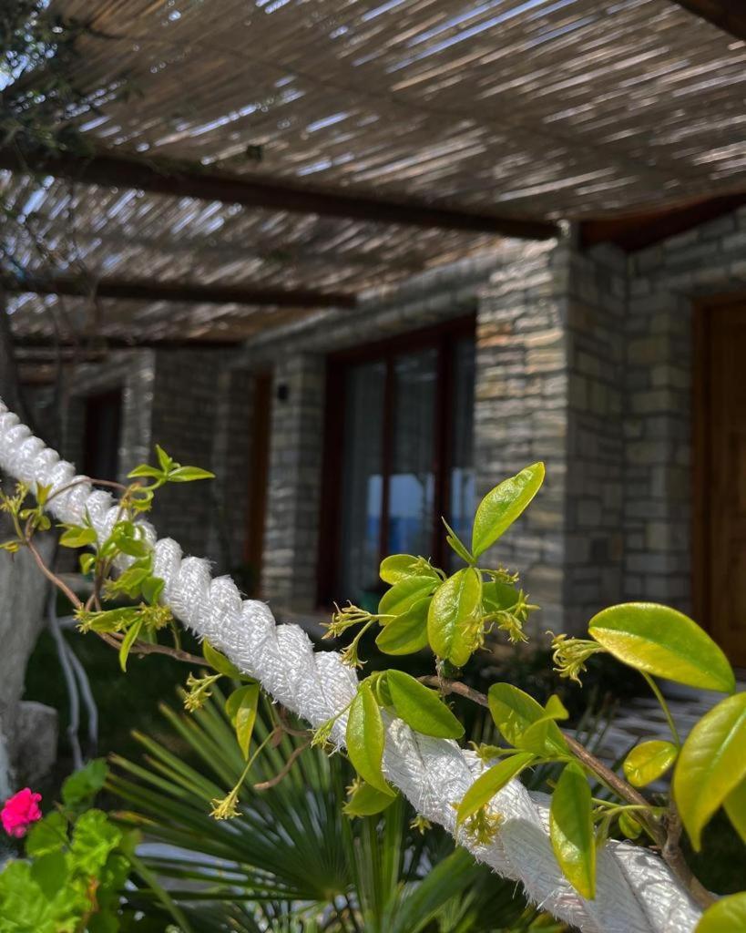 Palermiti Luxury Rooms photo 3