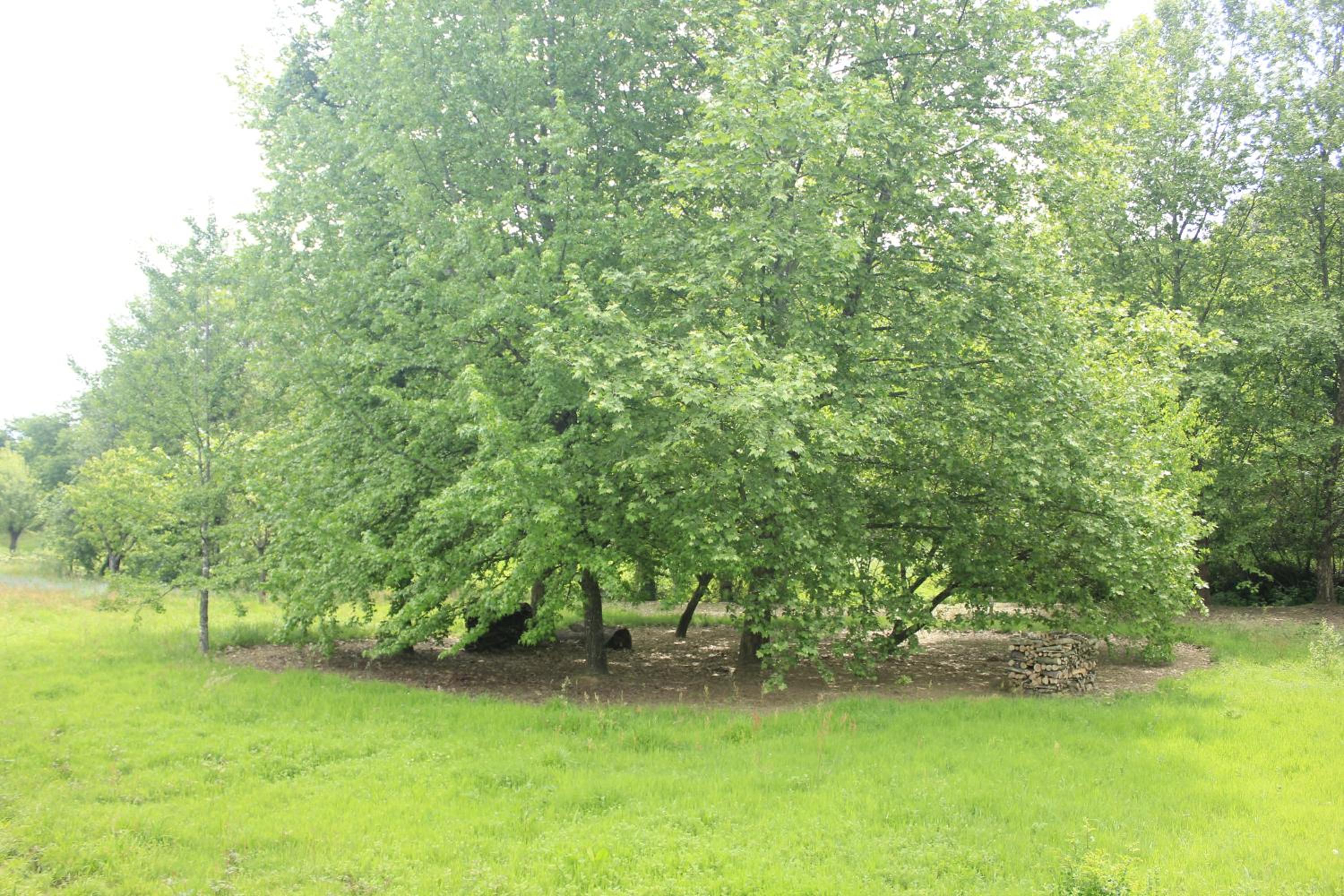 Photo 33