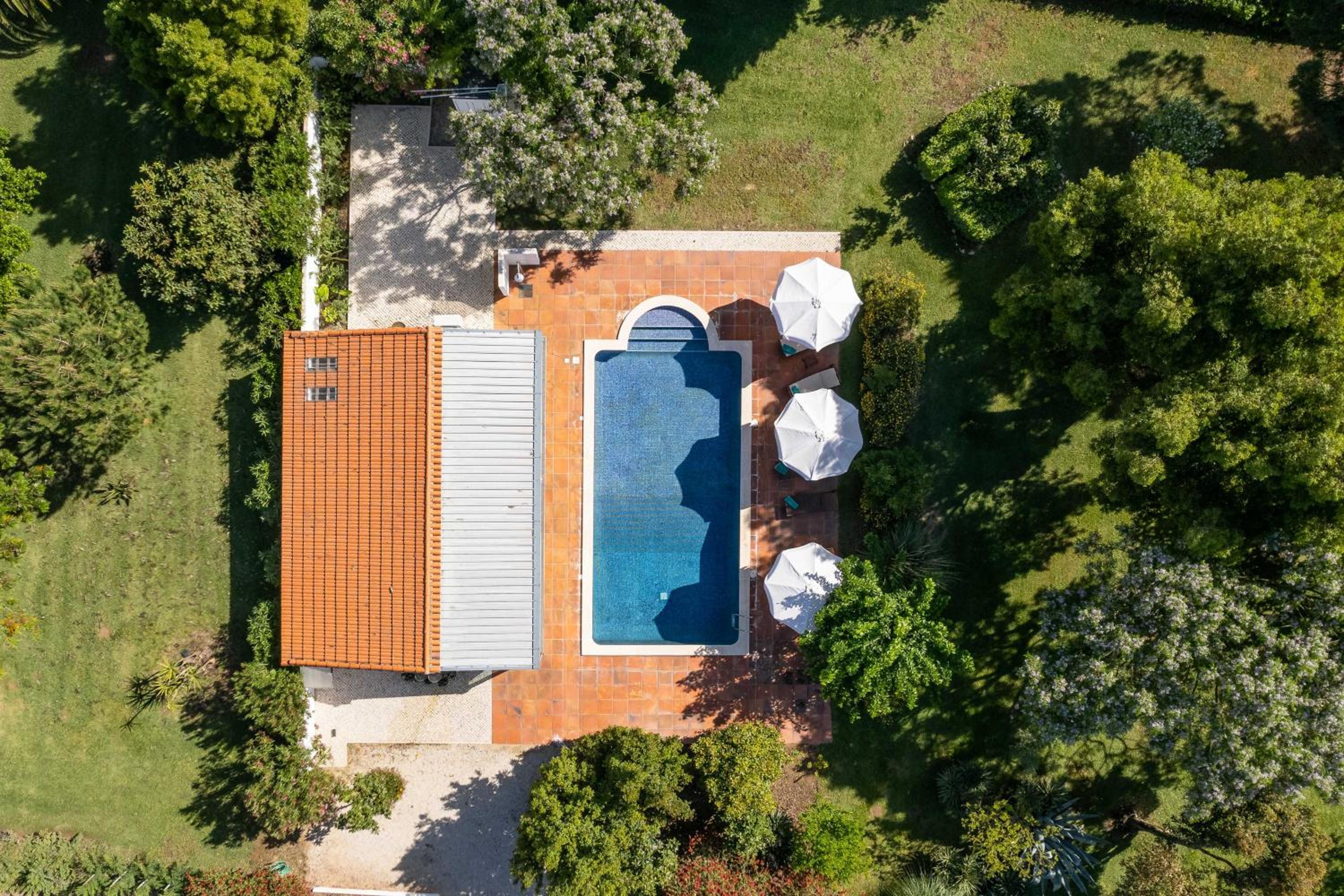 Sete Quintas Country House view 5