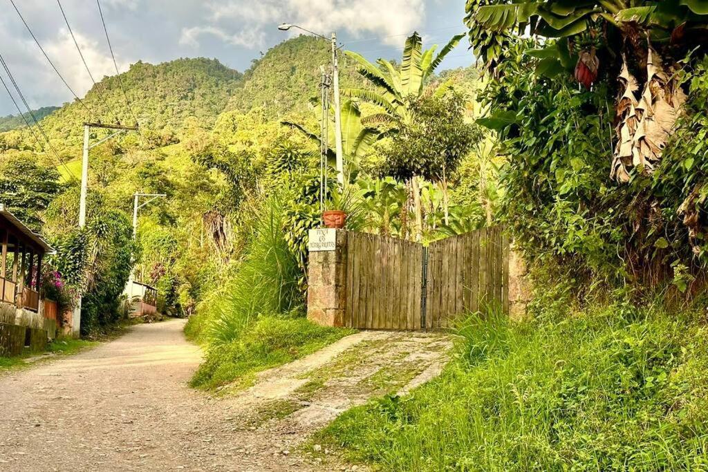 Posadas rurales las Margaritas