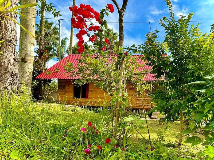 Posadas rurales las Margaritas