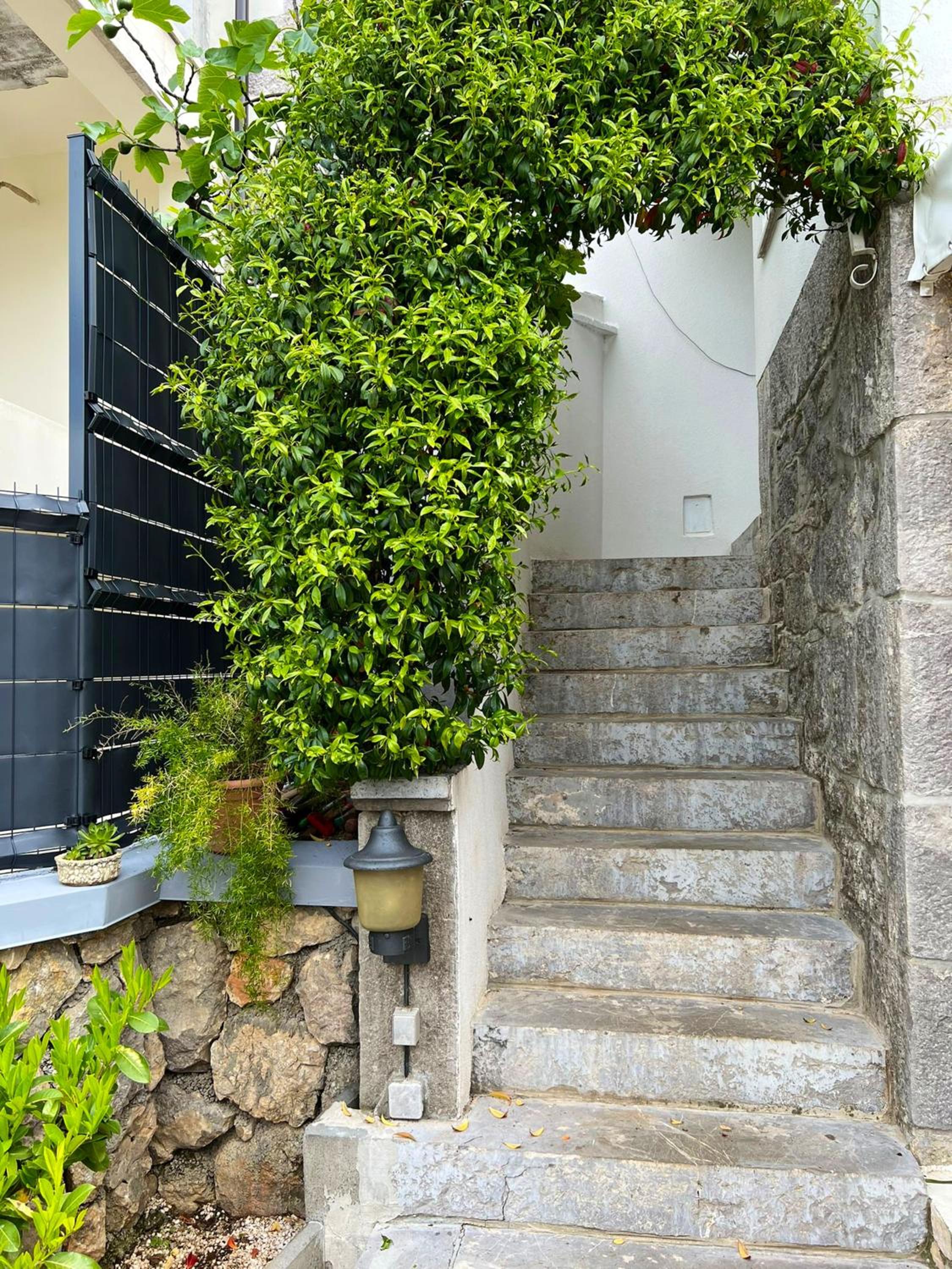 Charming 57 m² apartment in Skrpcici with terrace