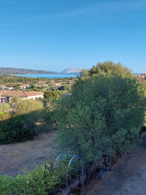 La casa di Annita view 3
