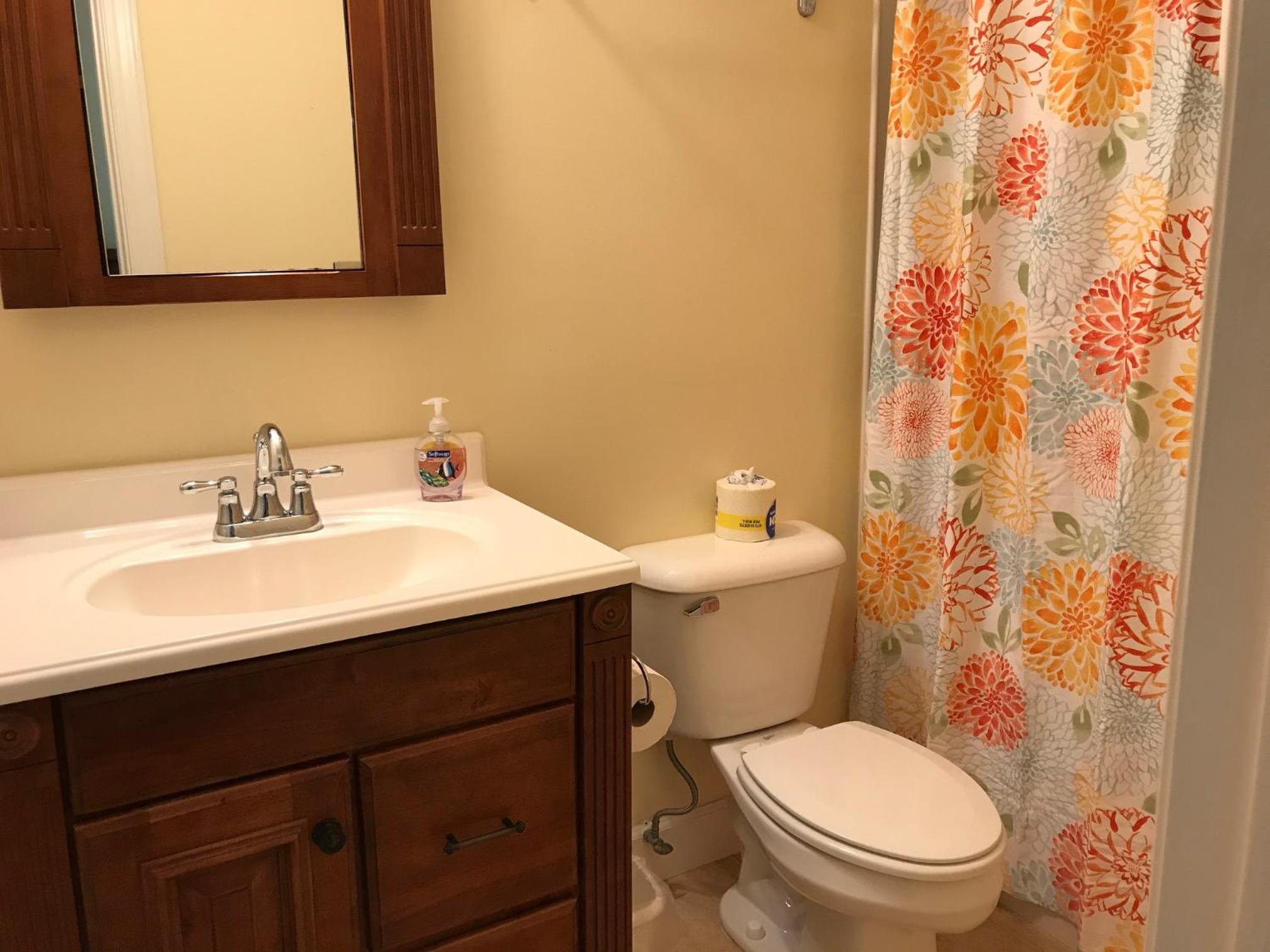42 Firethorn Lane view 4