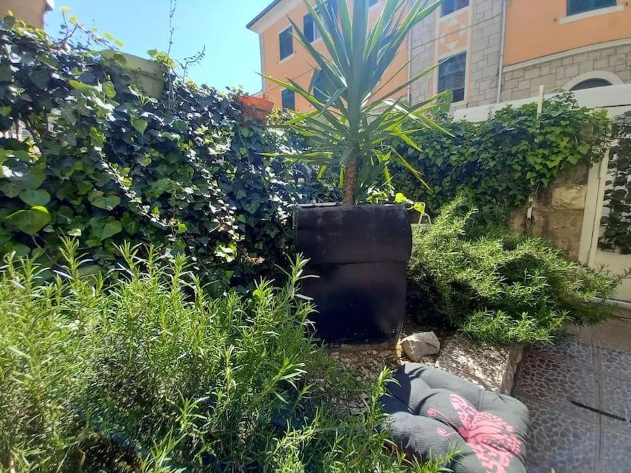 Guesthouse Yucca