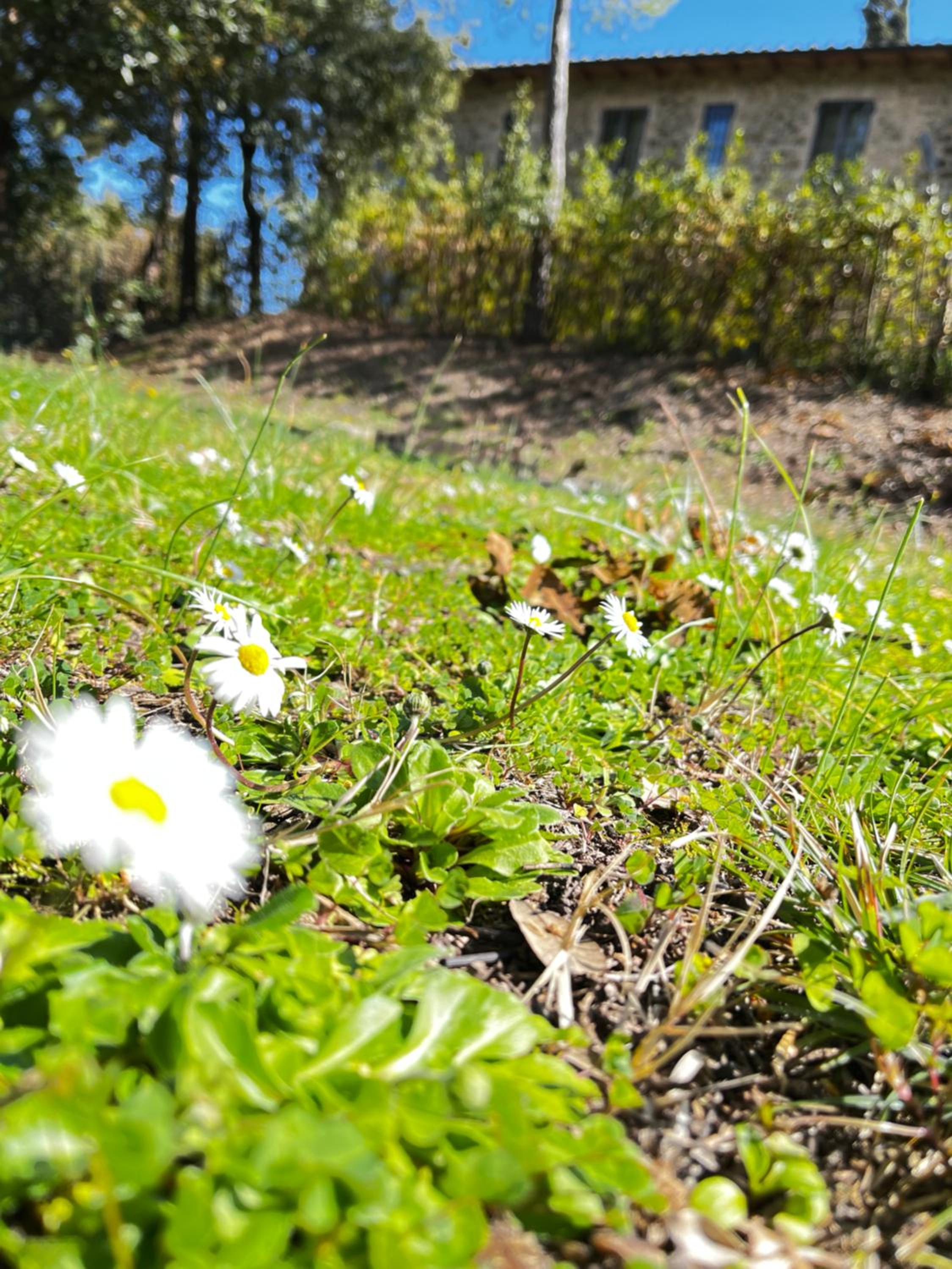 Photo 31