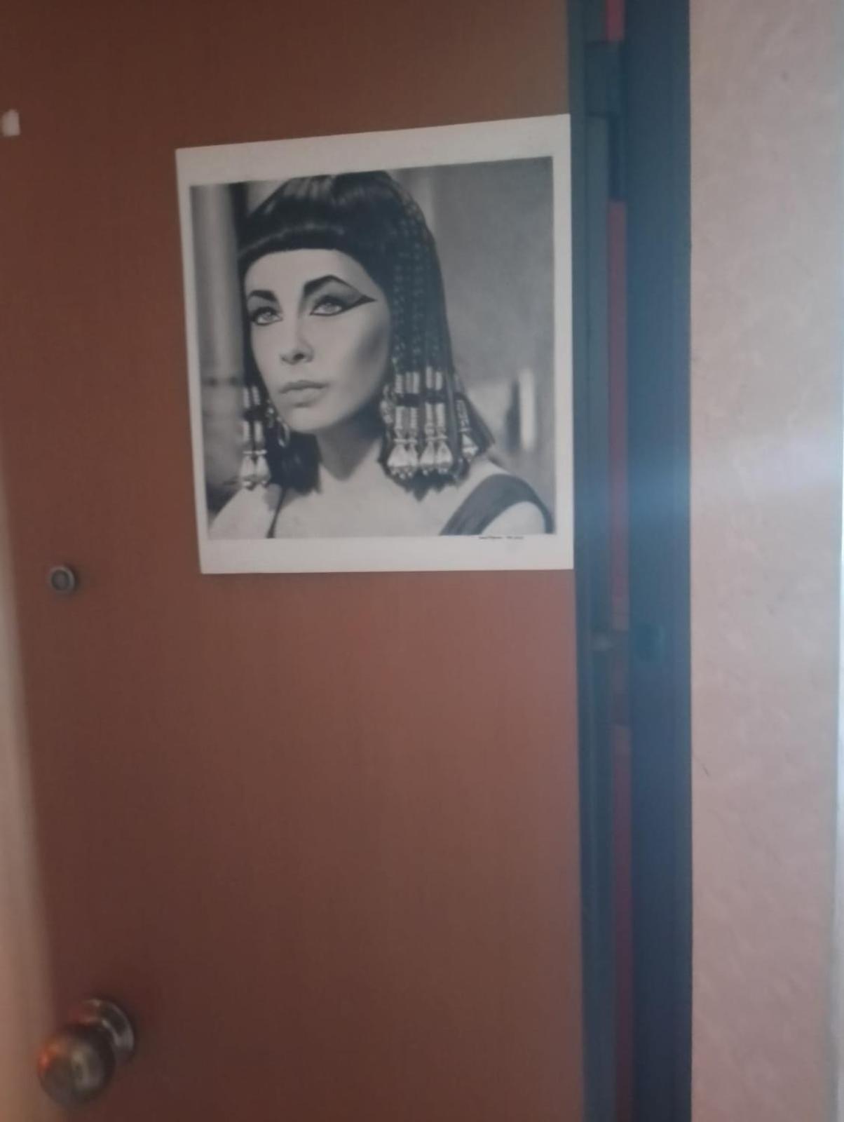 B&b Cleopatra