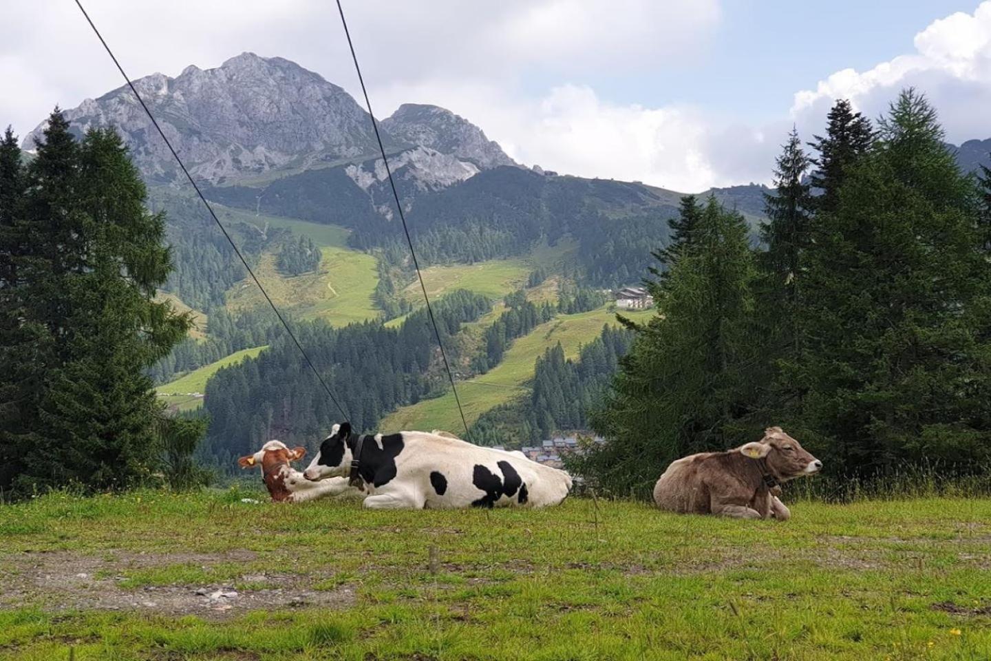 Chalet Giusto