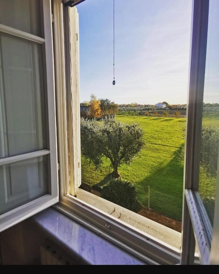 Villa Marinsky Pietrasanta , Lucca view 3