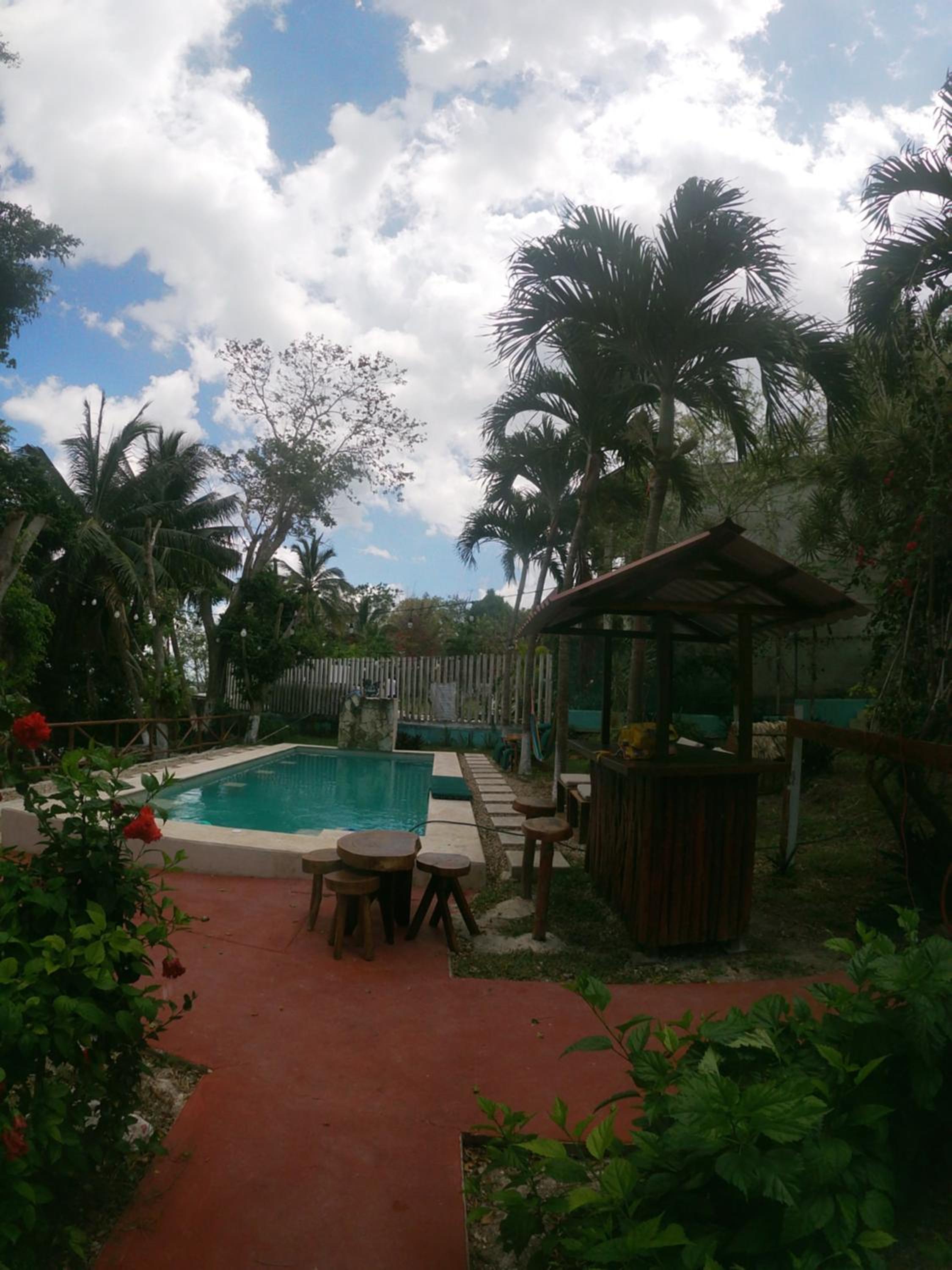 Photo 42
