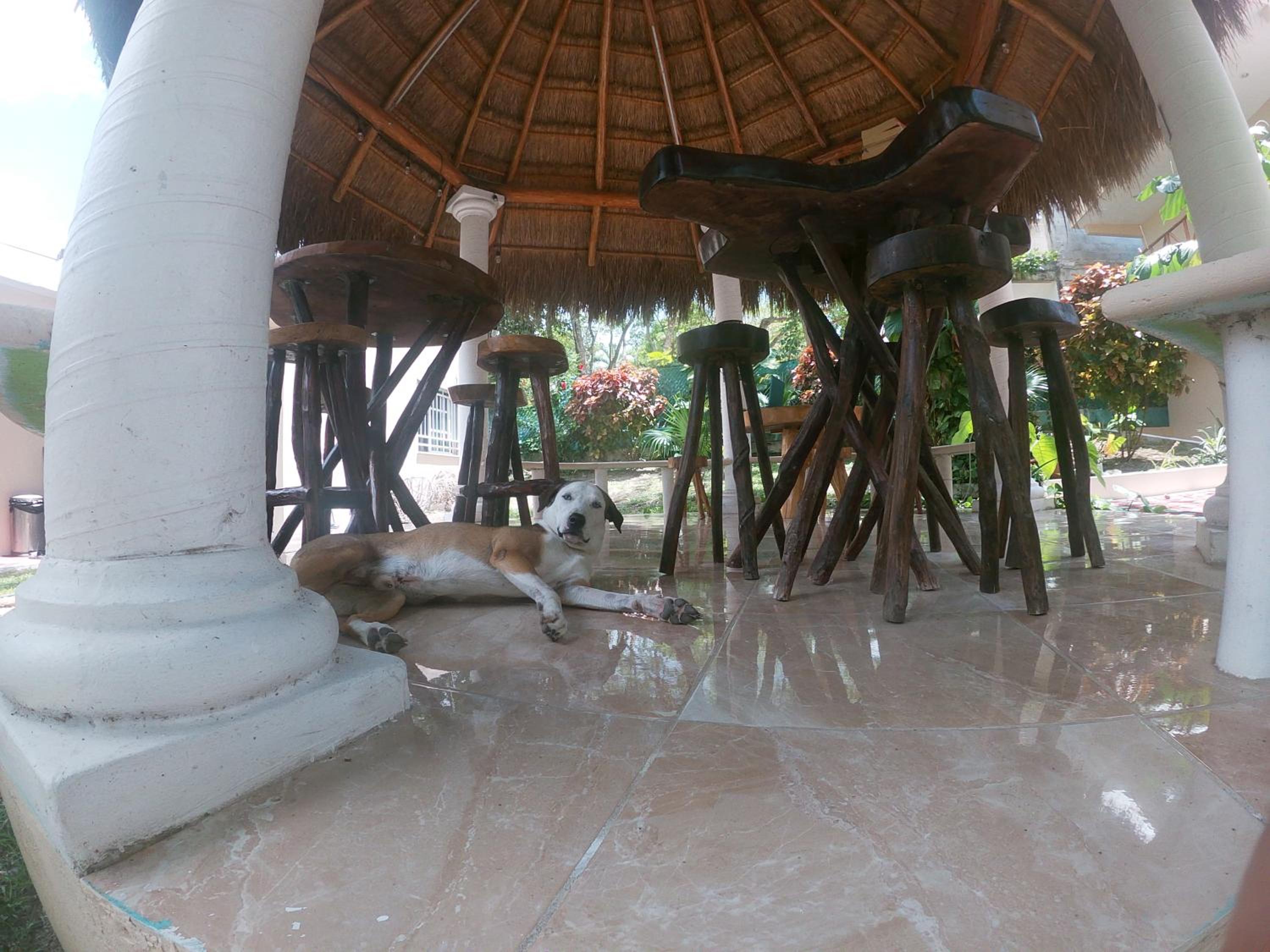 Photo 66