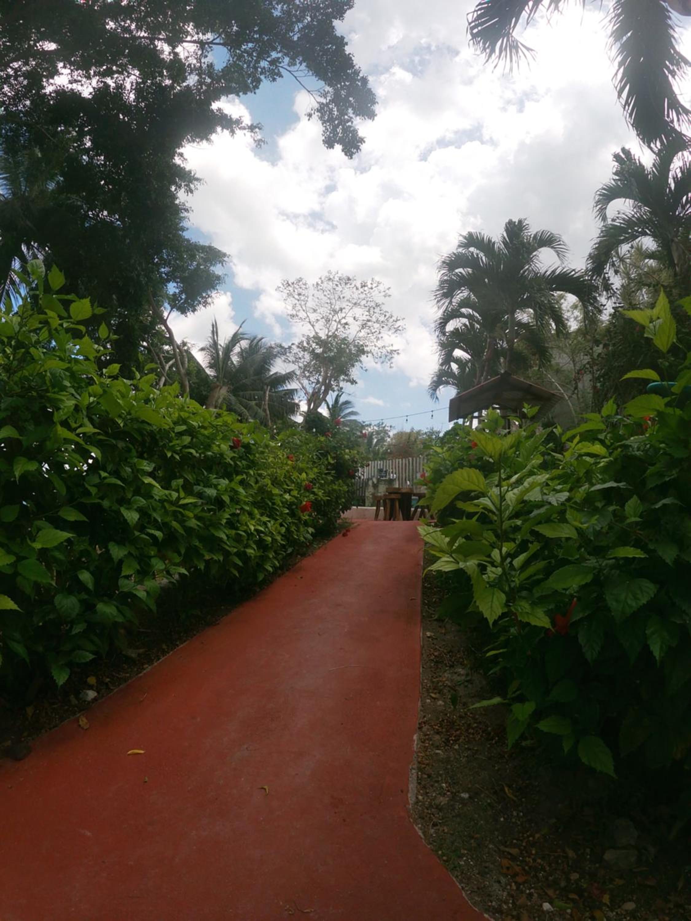 Photo 41