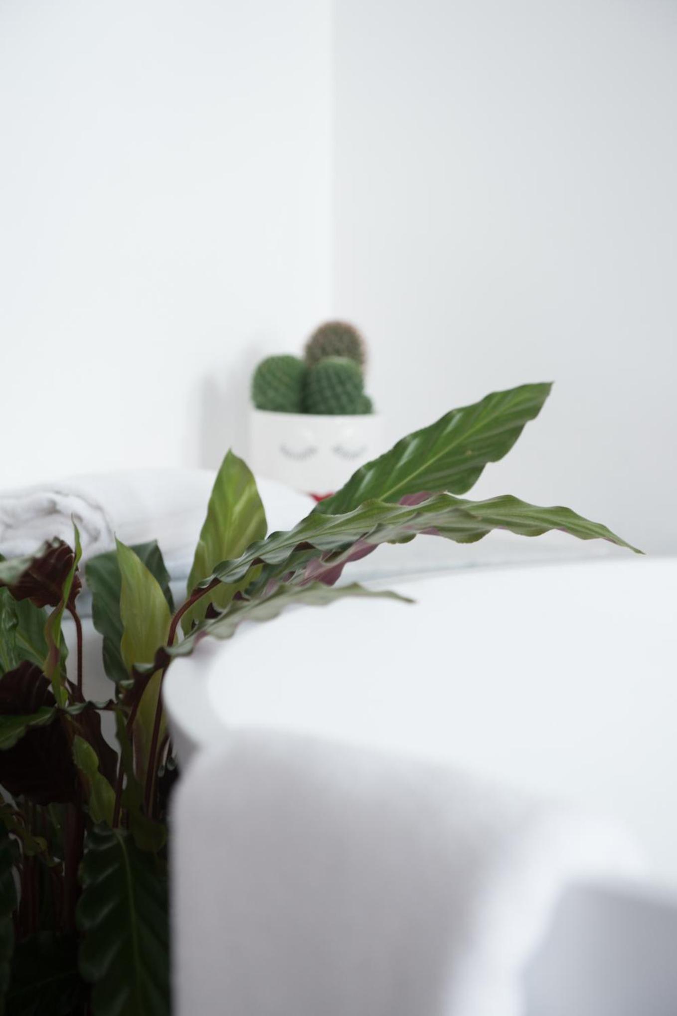 Le Terrazze del Duca San Pietro Guesthouse