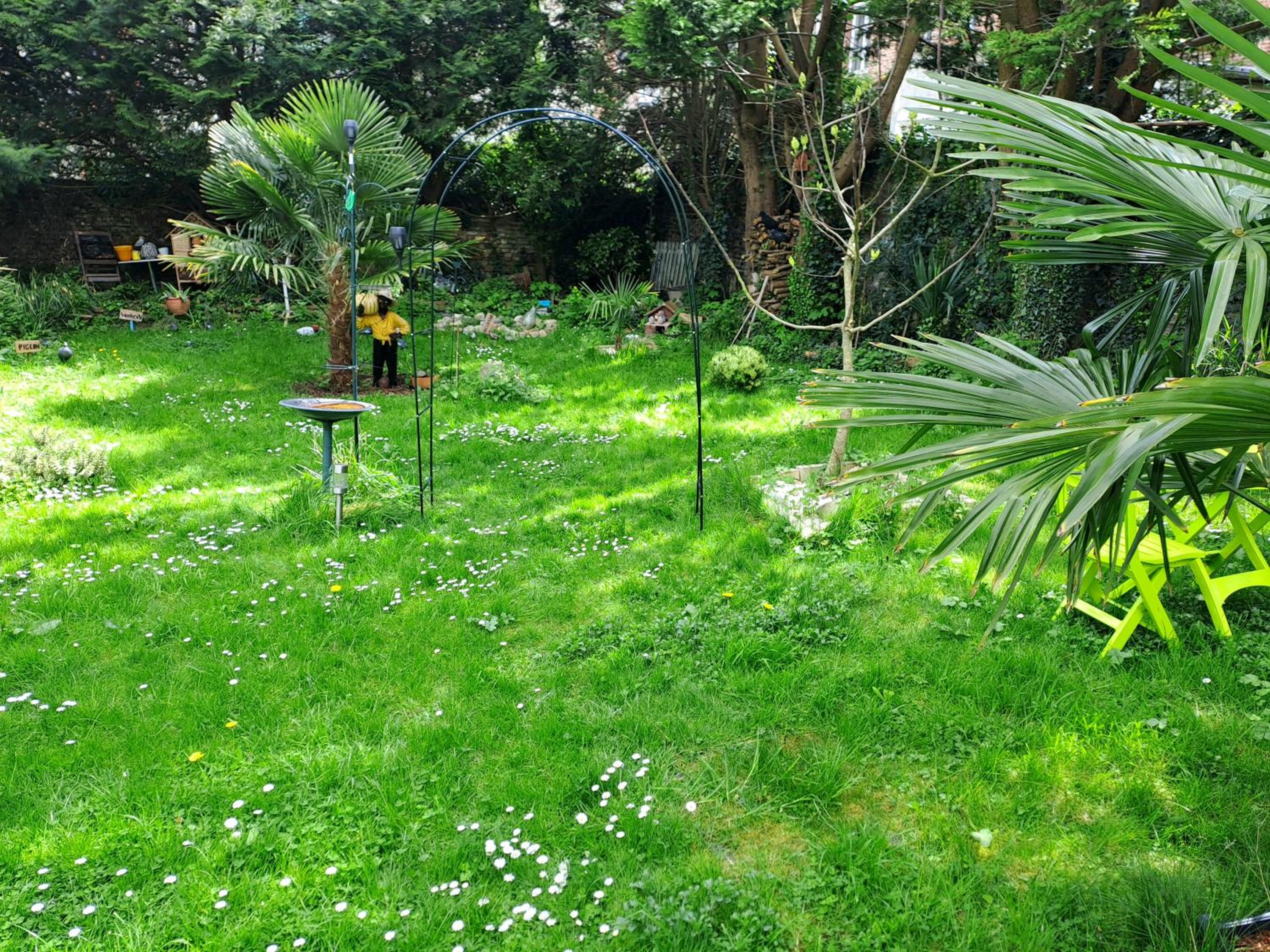 Photo 17