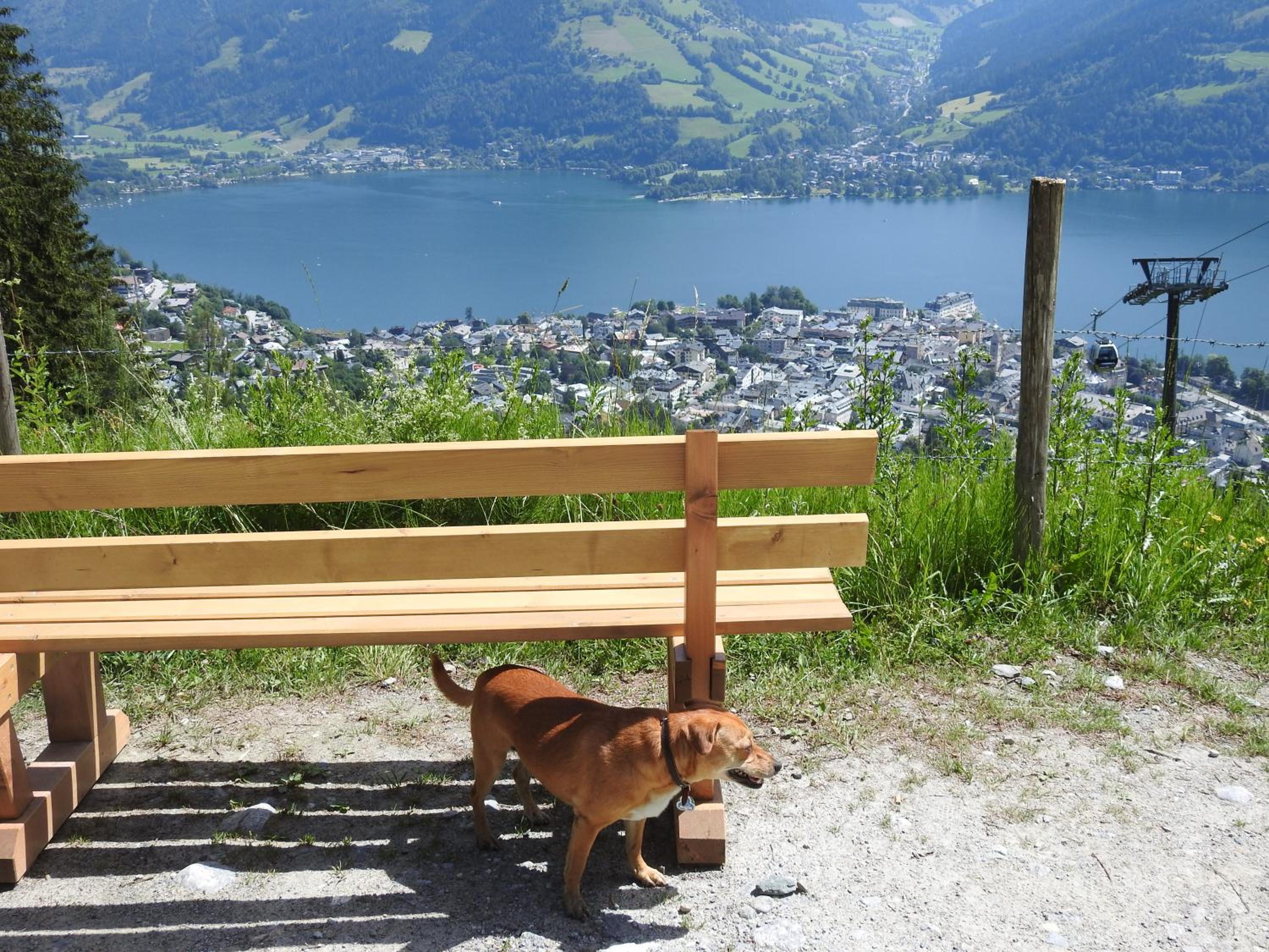 Pension Alpenrose