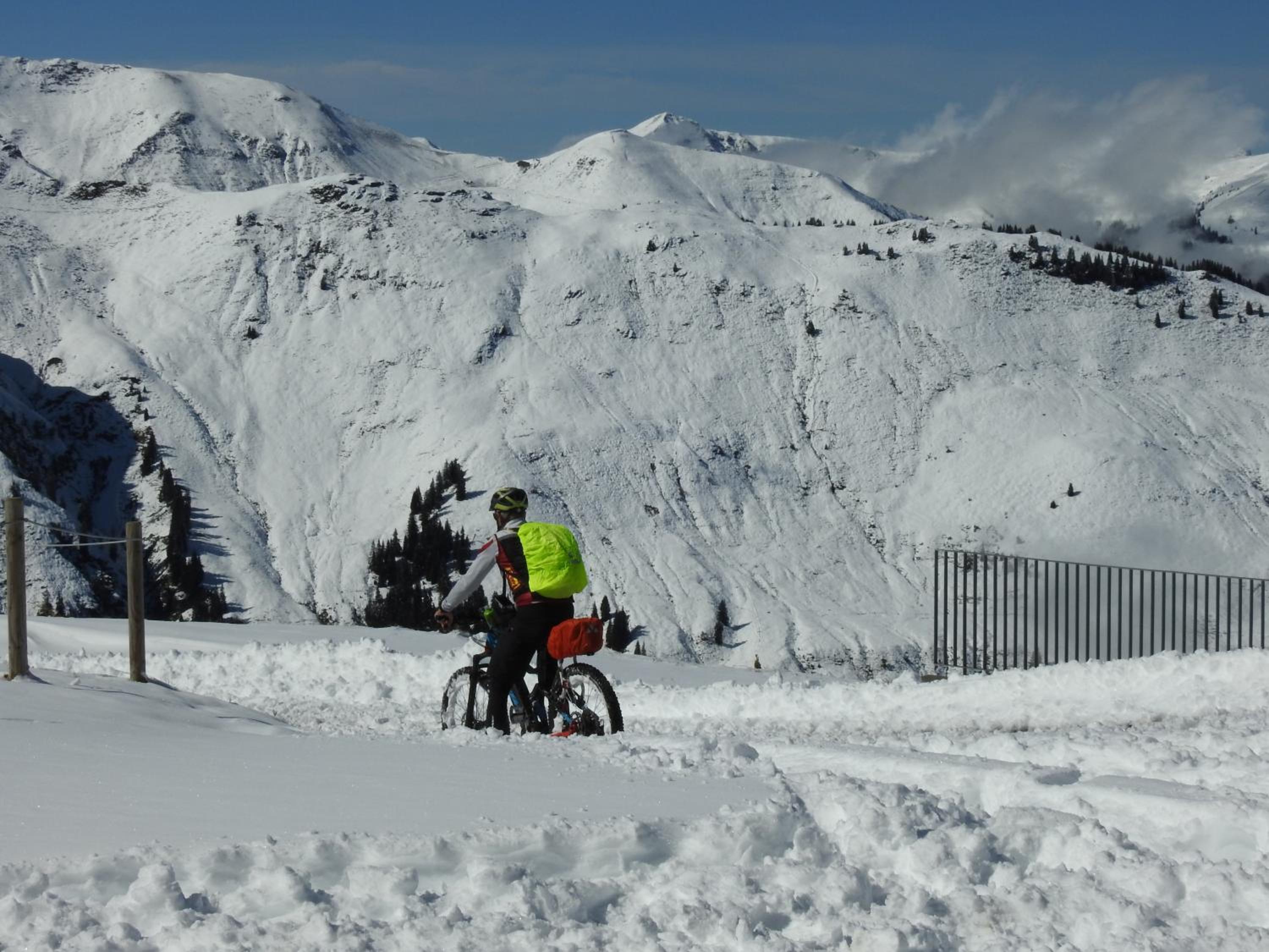 Pension Alpenrose