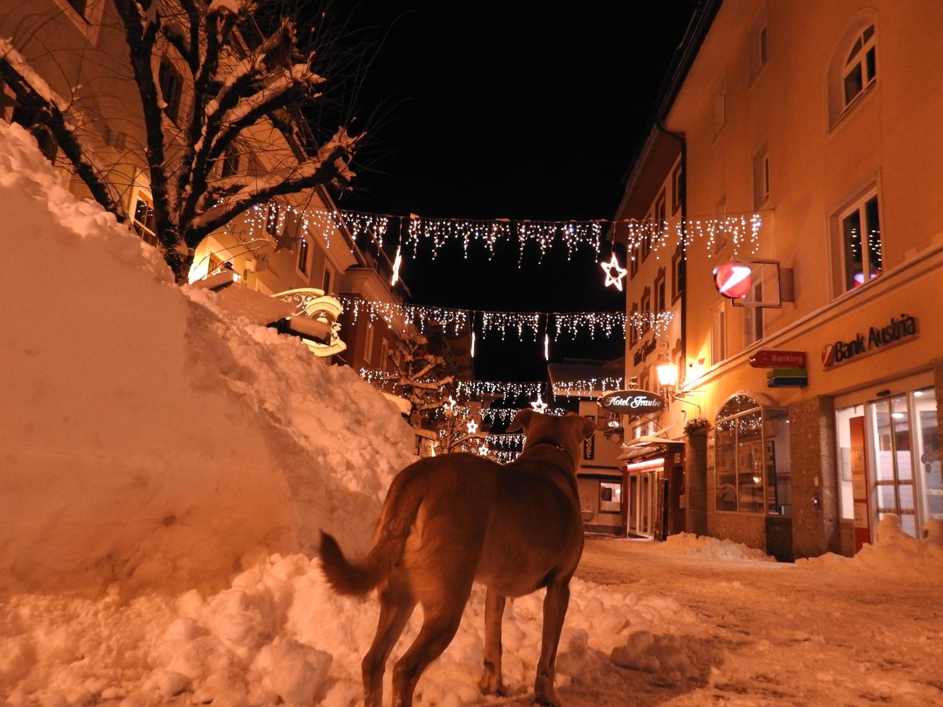 Pension Alpenrose