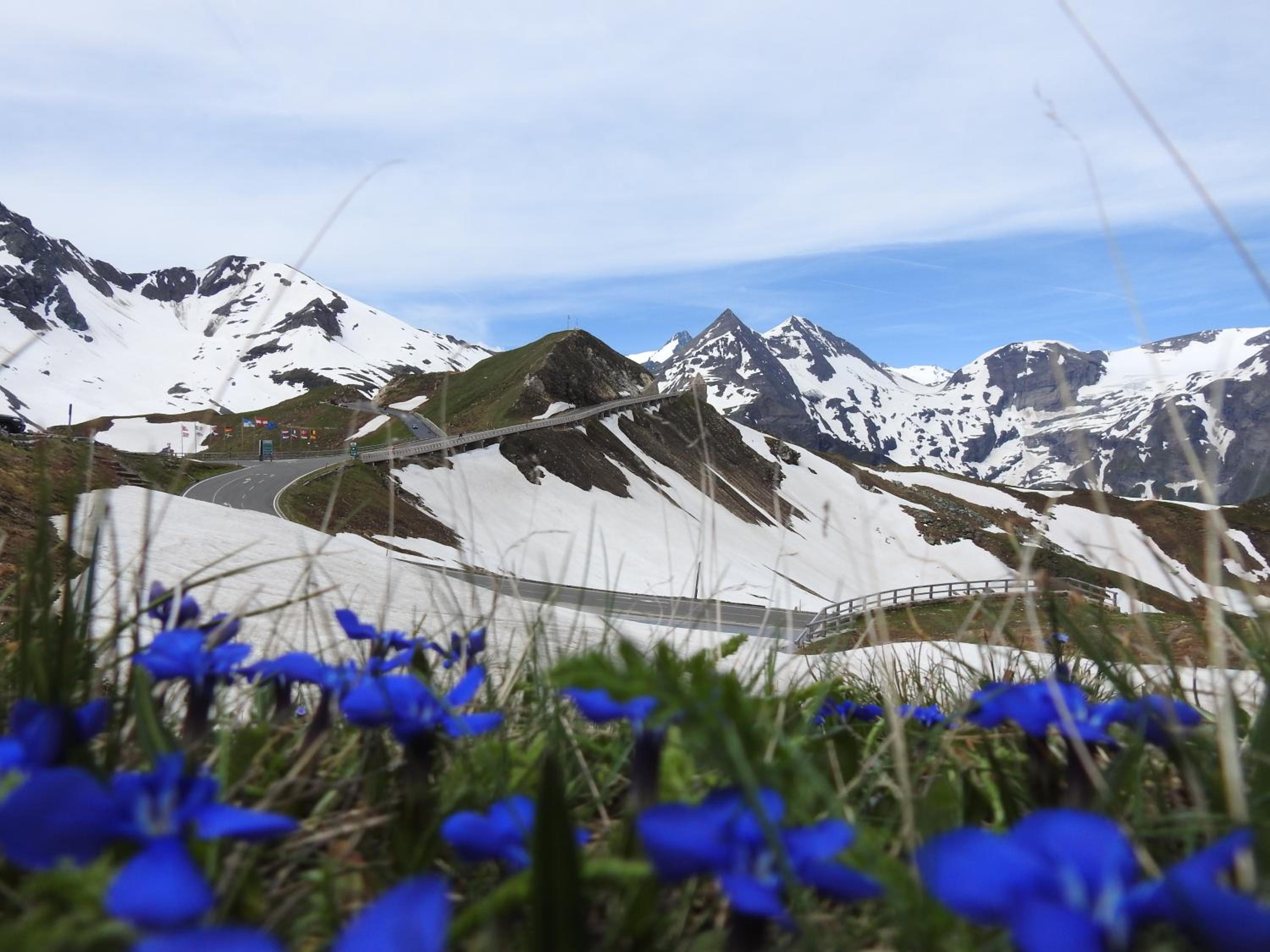 Pension Alpenrose