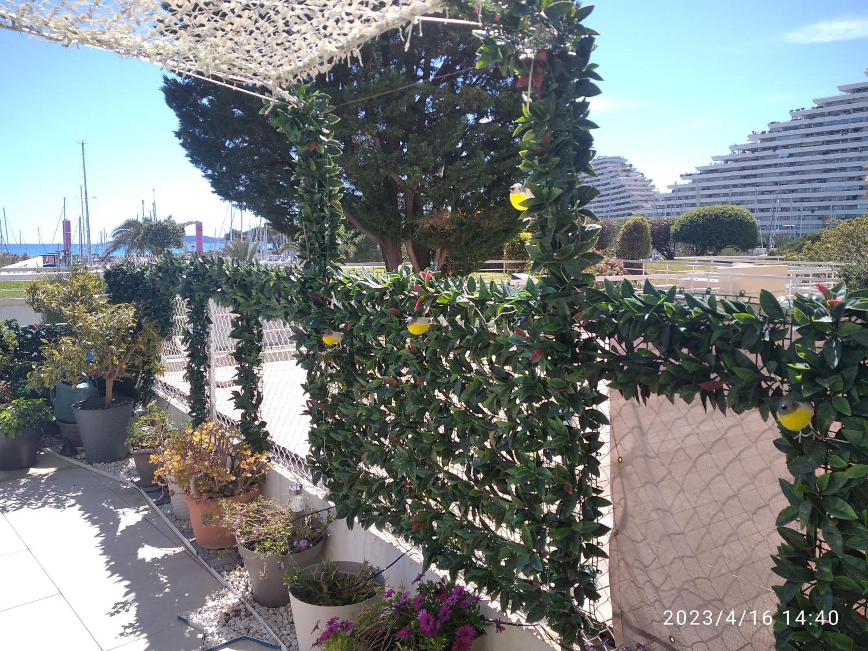 Baie des anges appartement Bis view 3