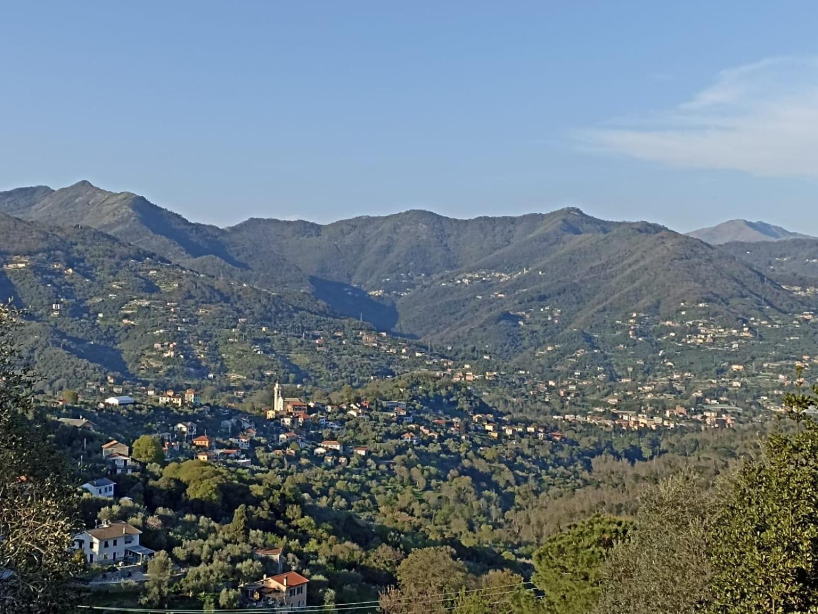 Posa