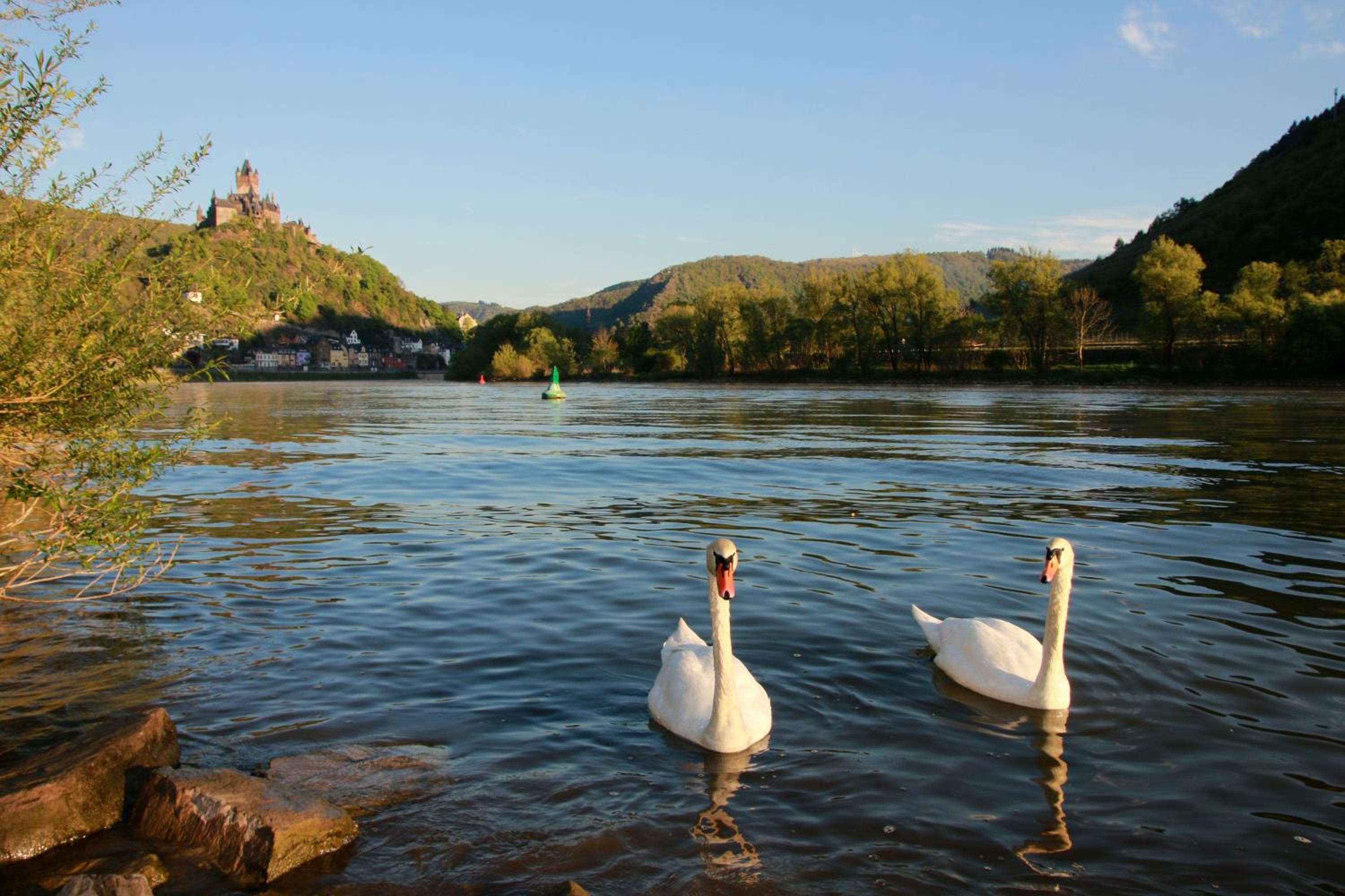 Hotel Klasen en Cochem