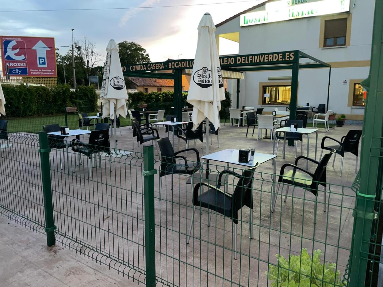 EL DELFÍN VERDE