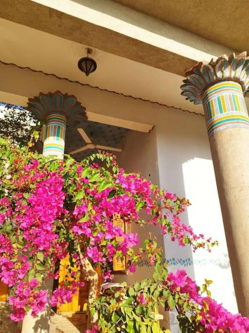 Gabawy Garden, Privatzimmer mit zwei Einzelbetten