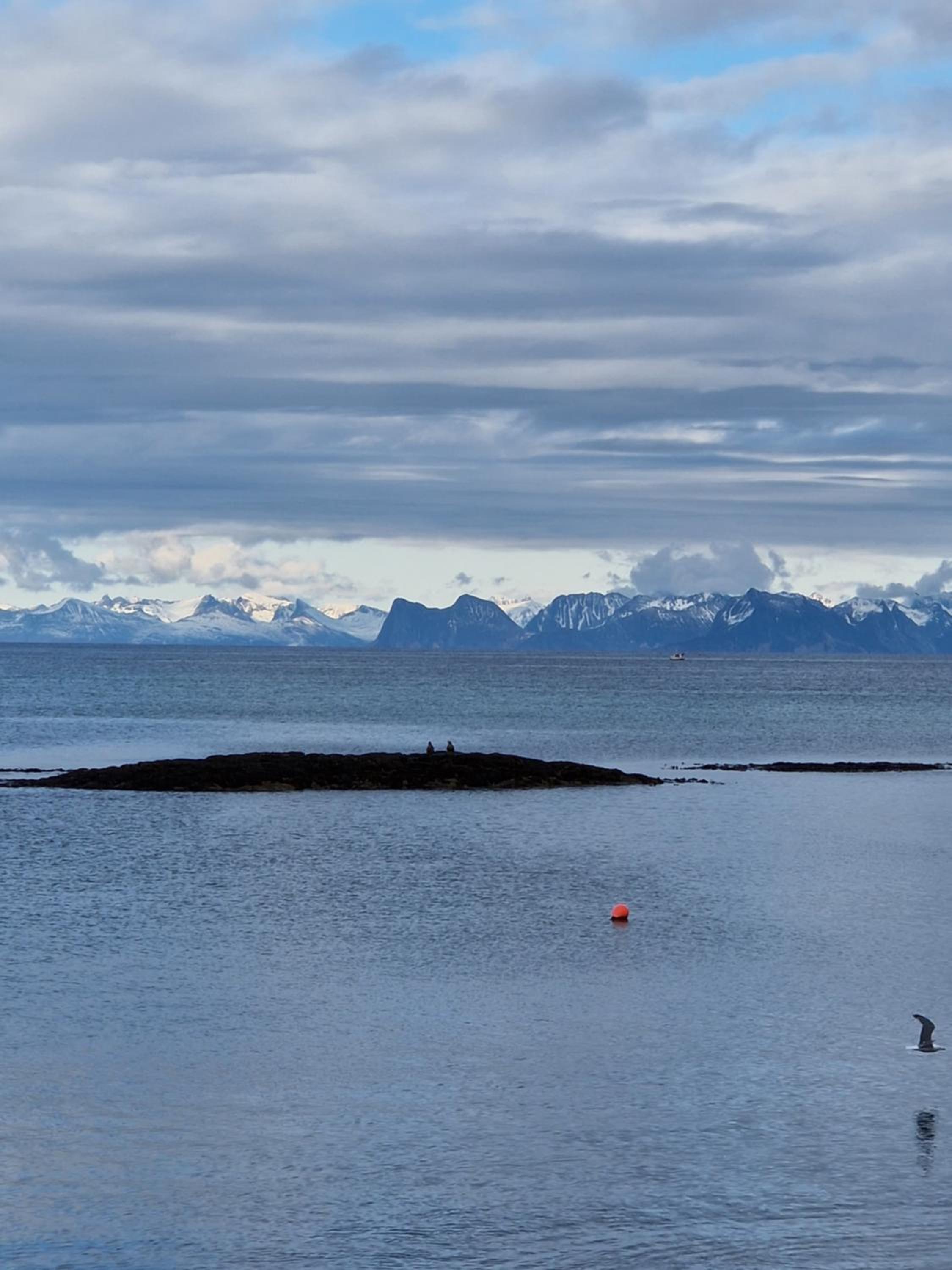 Roligheten Lodge in Andenes view 5