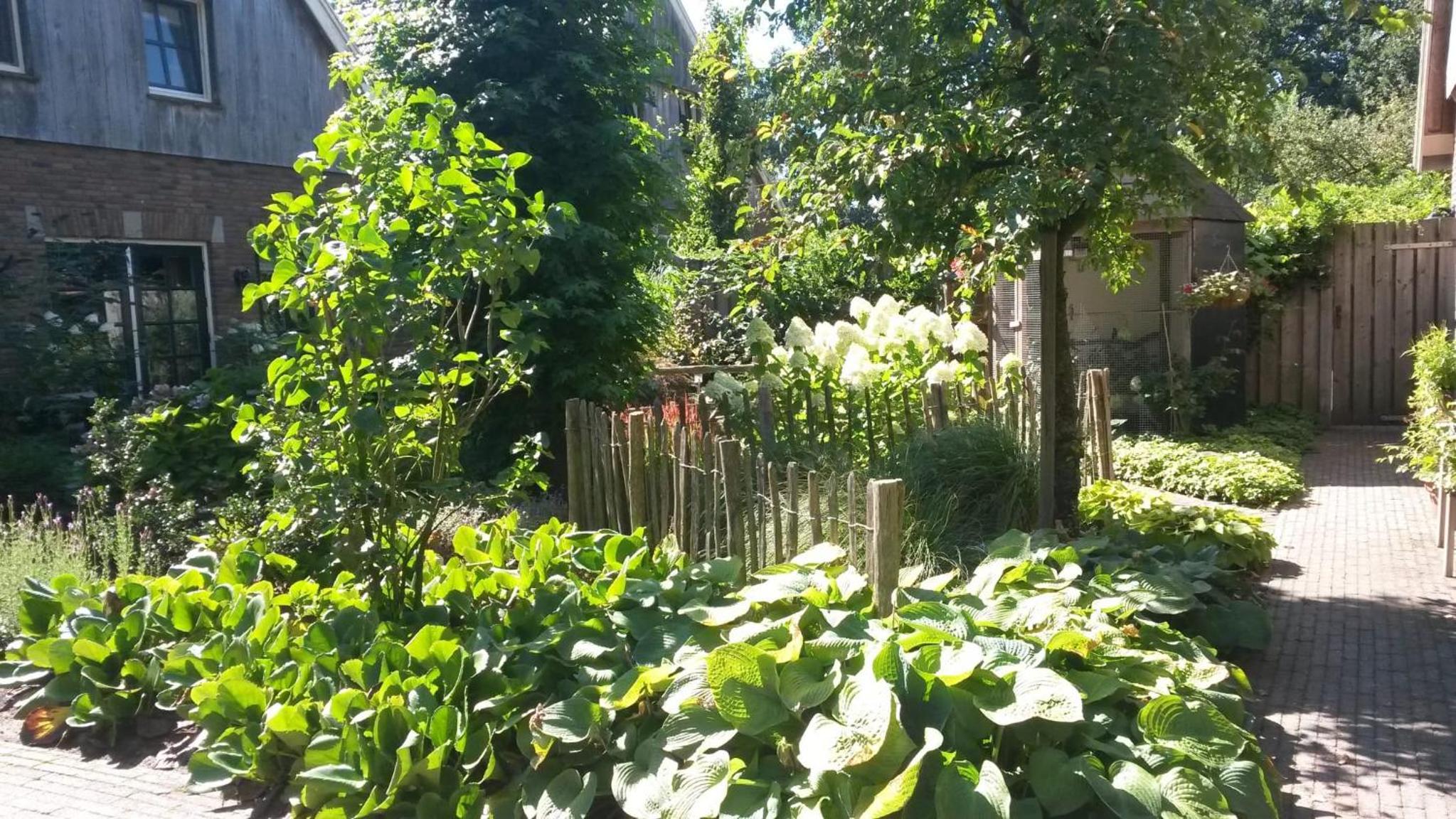 Photo 23