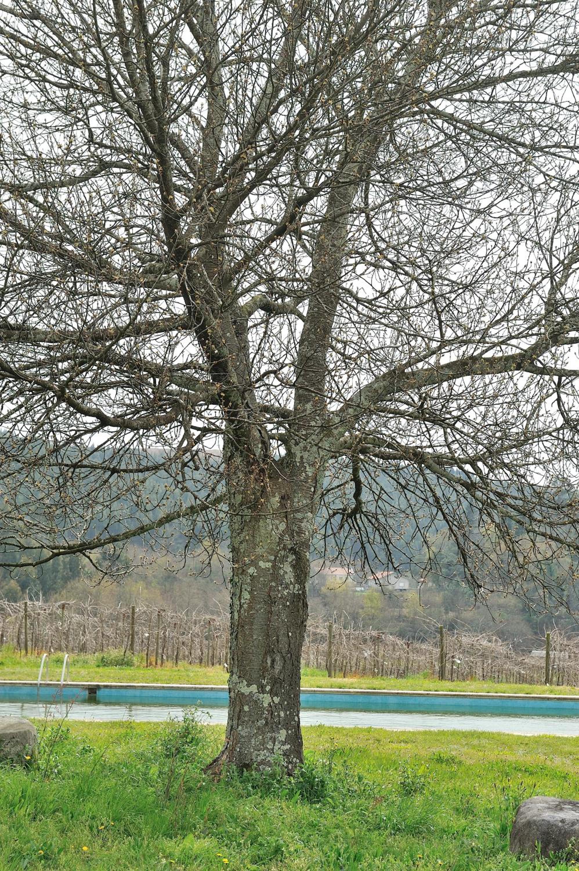 Quinta de Lourosa