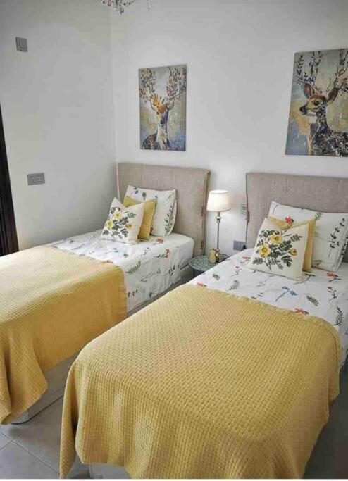 Bahia Homes Torrevieja photo 3