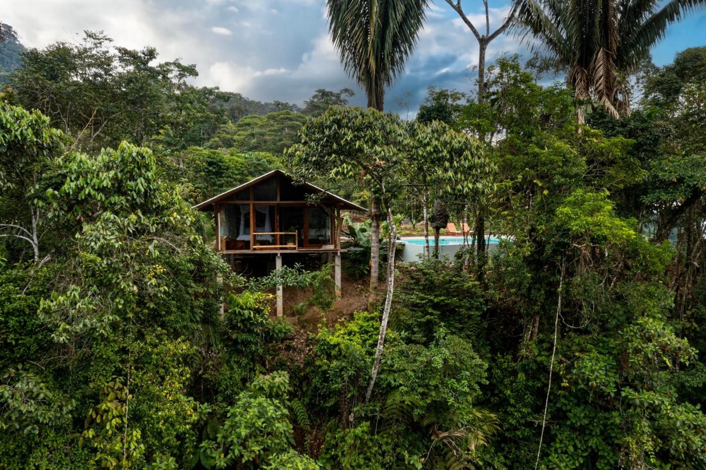 Wild Wasi Lodge - Private Jungle Retreat with Pool view 5