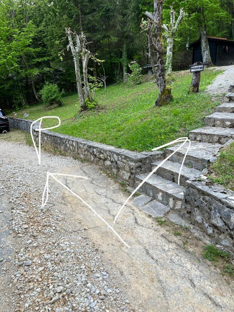 Mrežnički doživljaj
