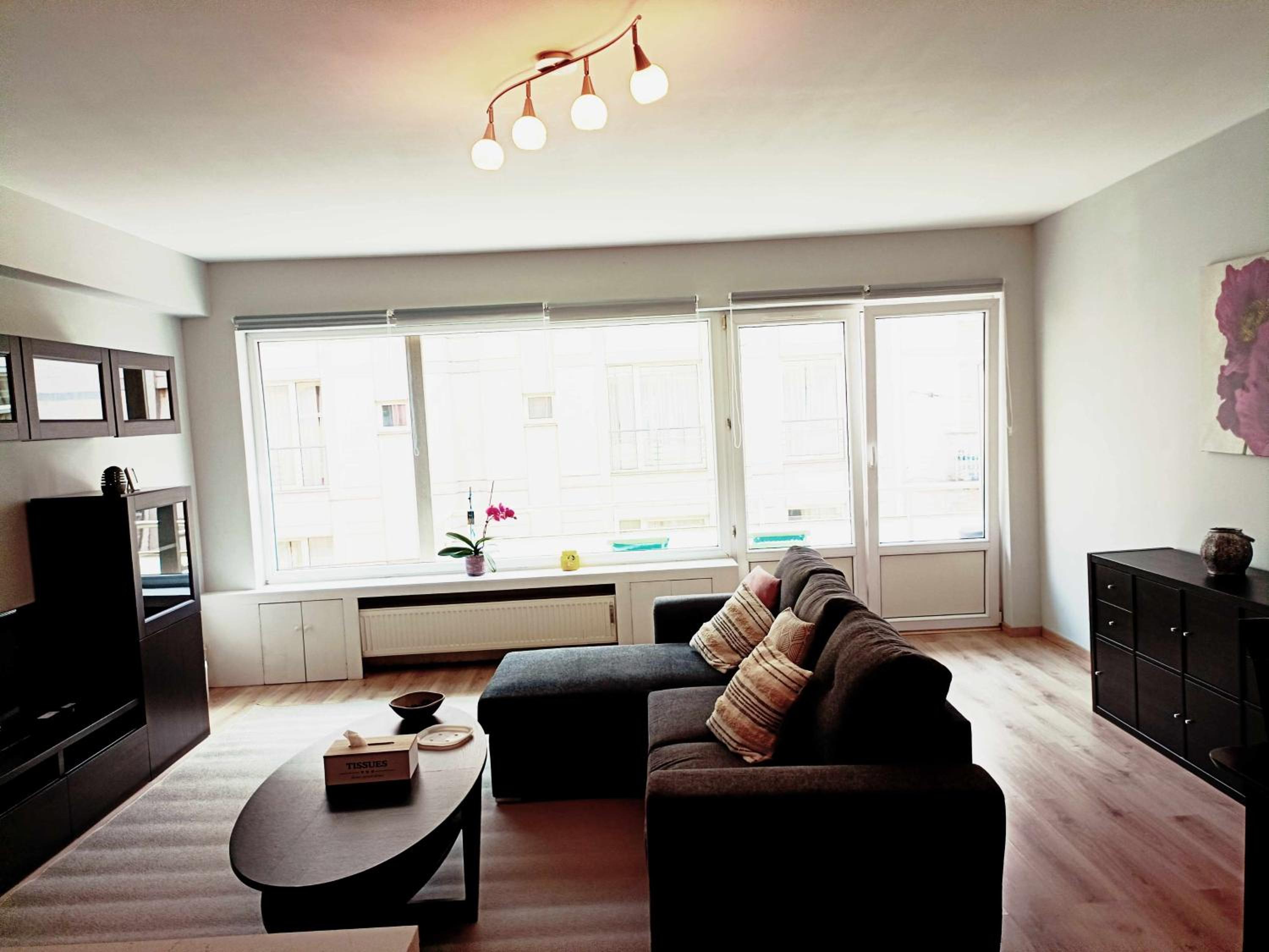 Cozy 2 bedroom apartment - metro Montgomery