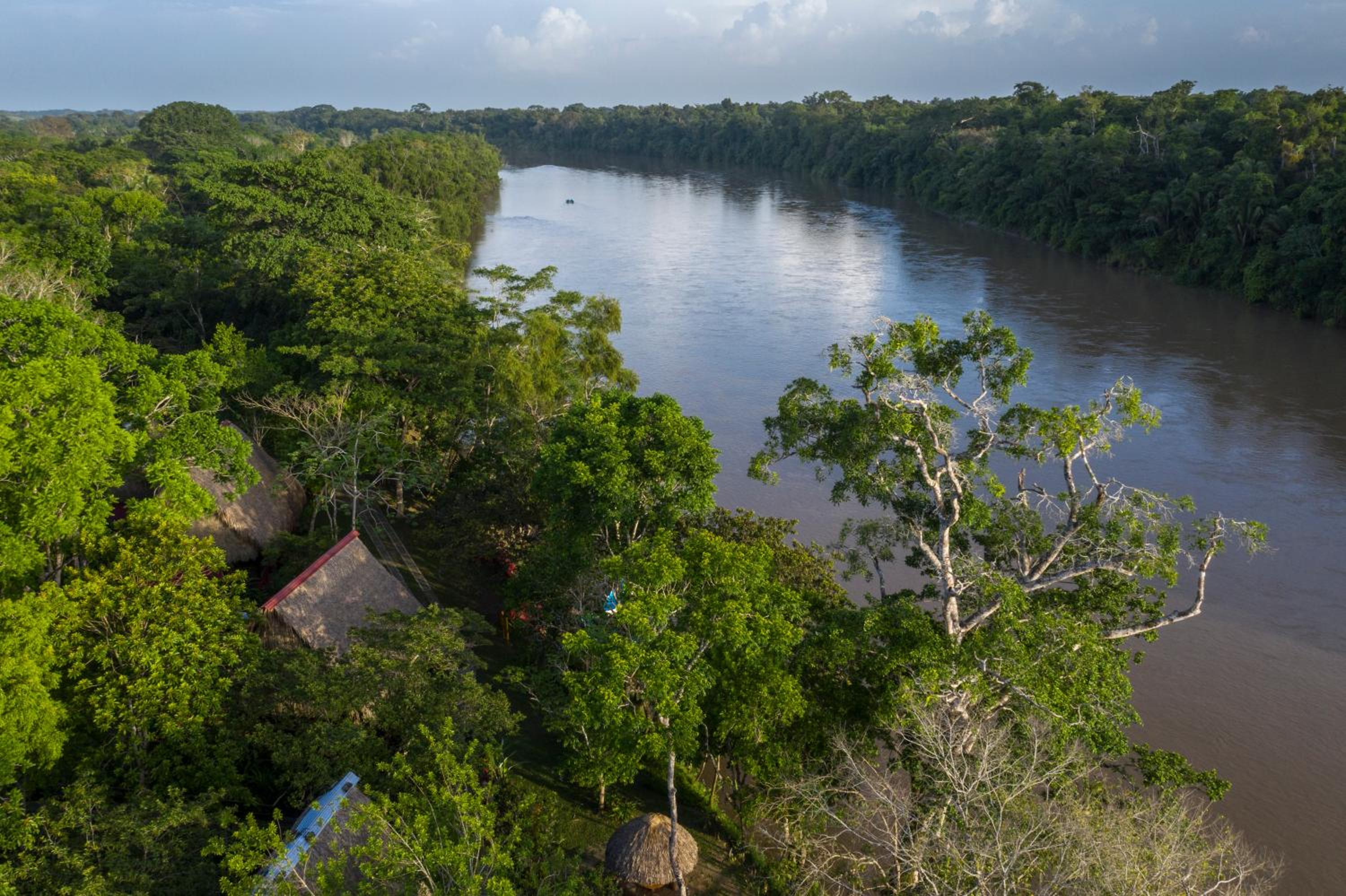 Las Guacamayas Lodge, Selva Lacandona, Chiapas México view 2