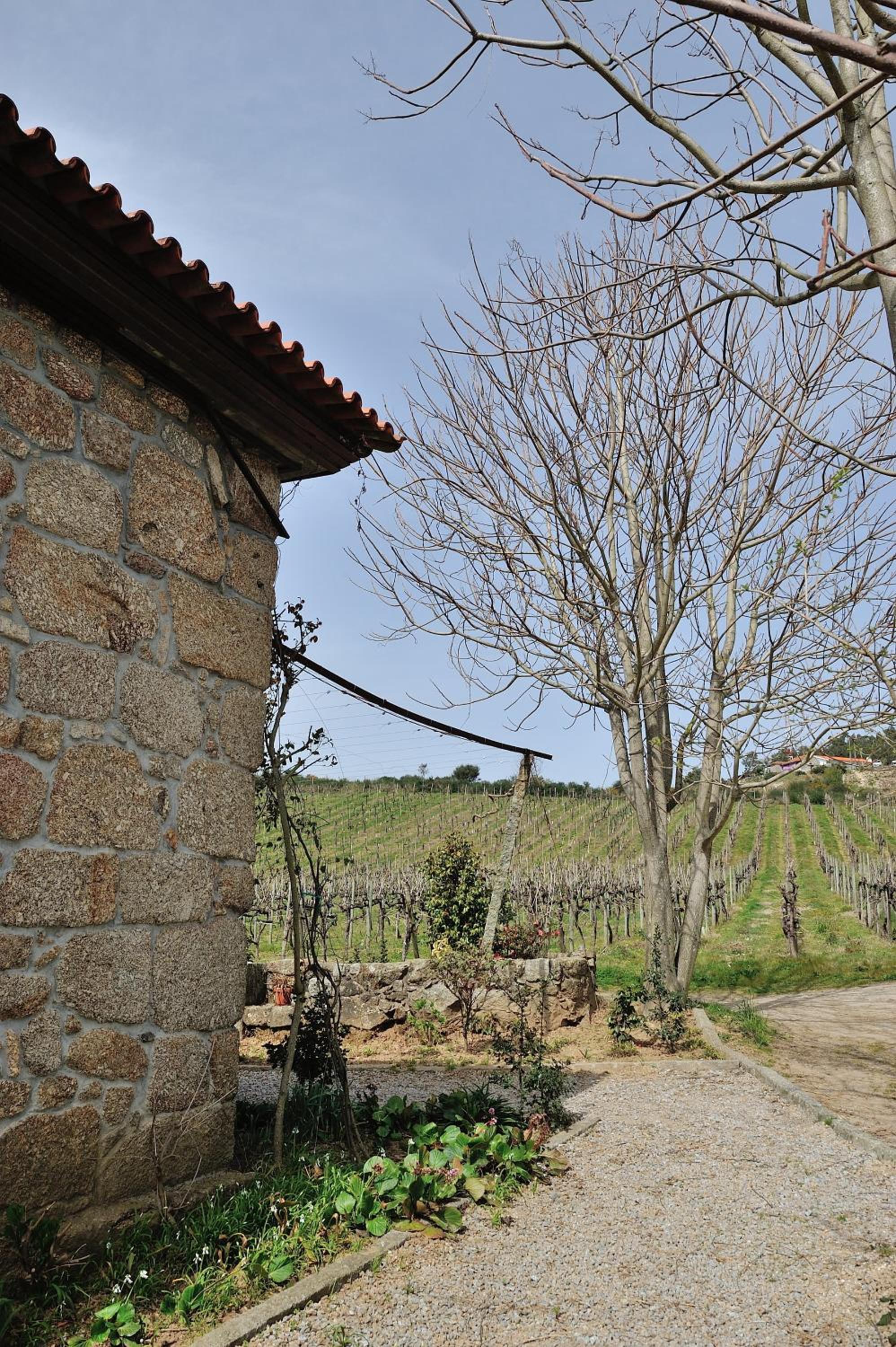 Quinta de Lourosa