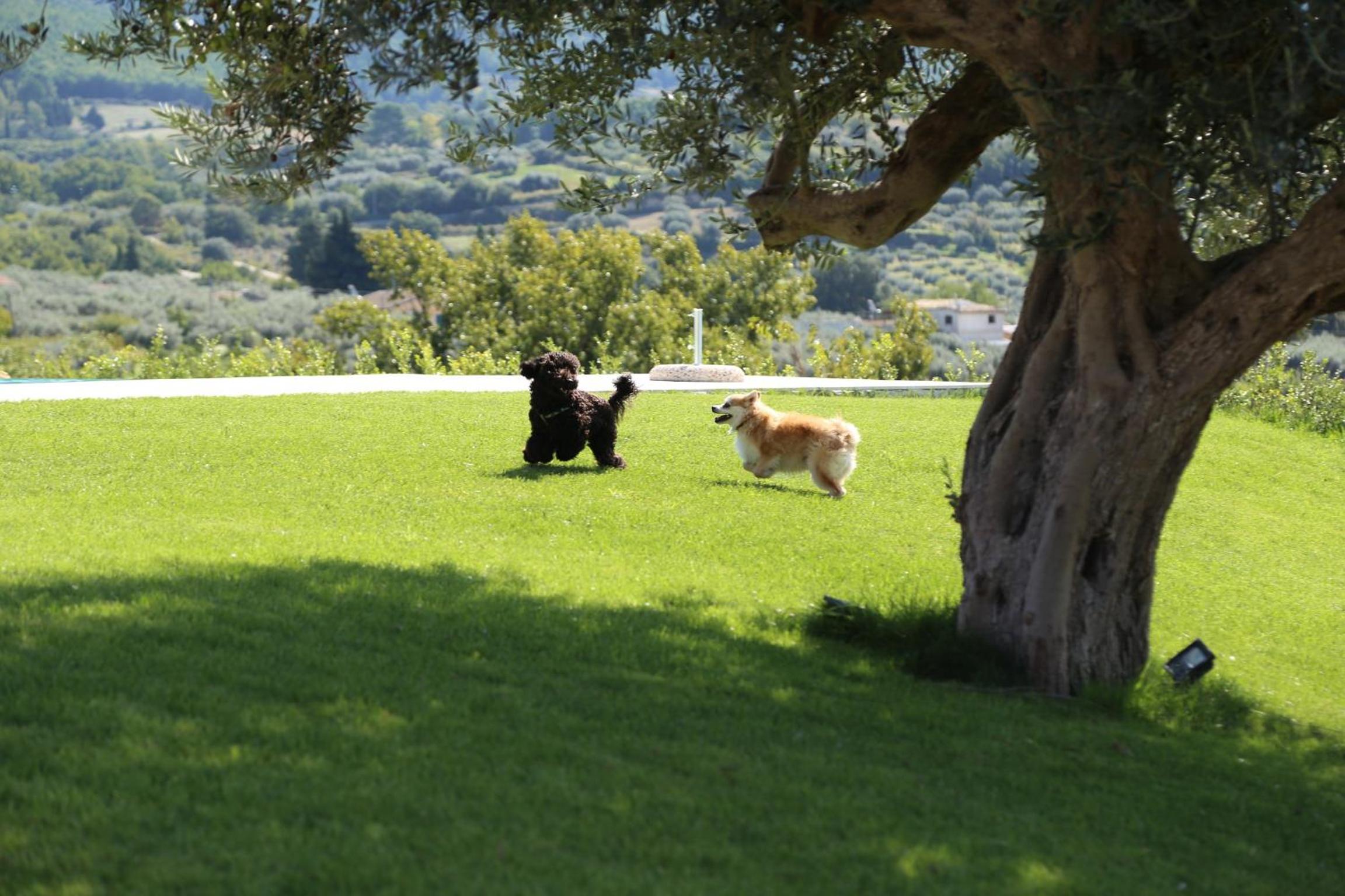 Oriental Sicily Country House