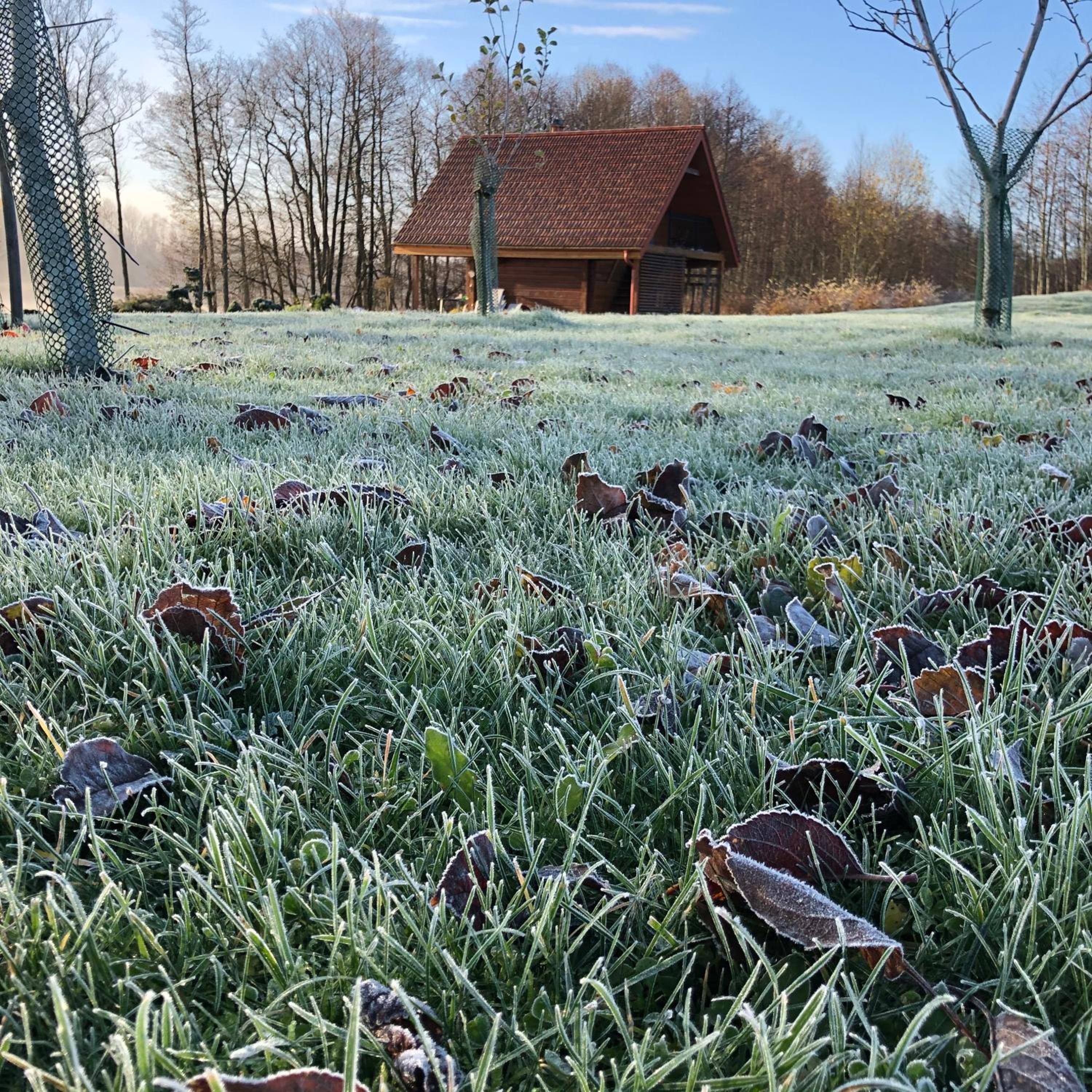 Sodyba Paukščių Takas